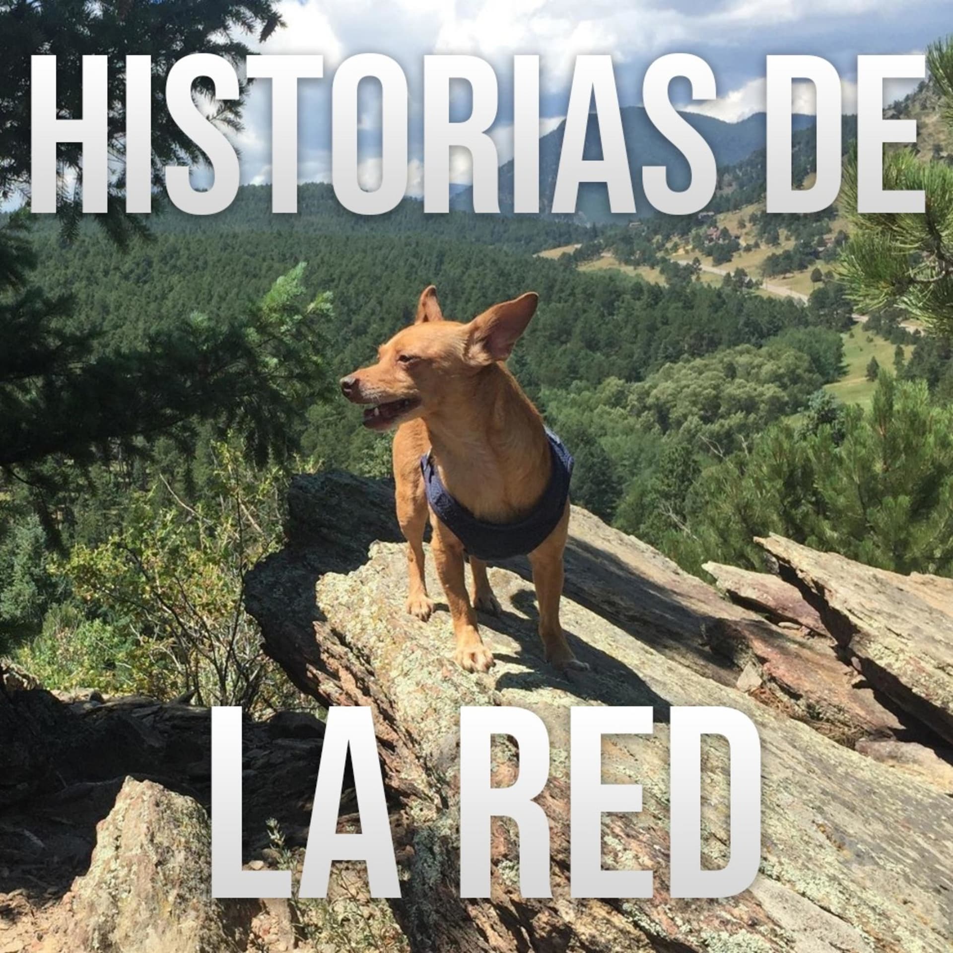 Historias de la Red - Podcasts