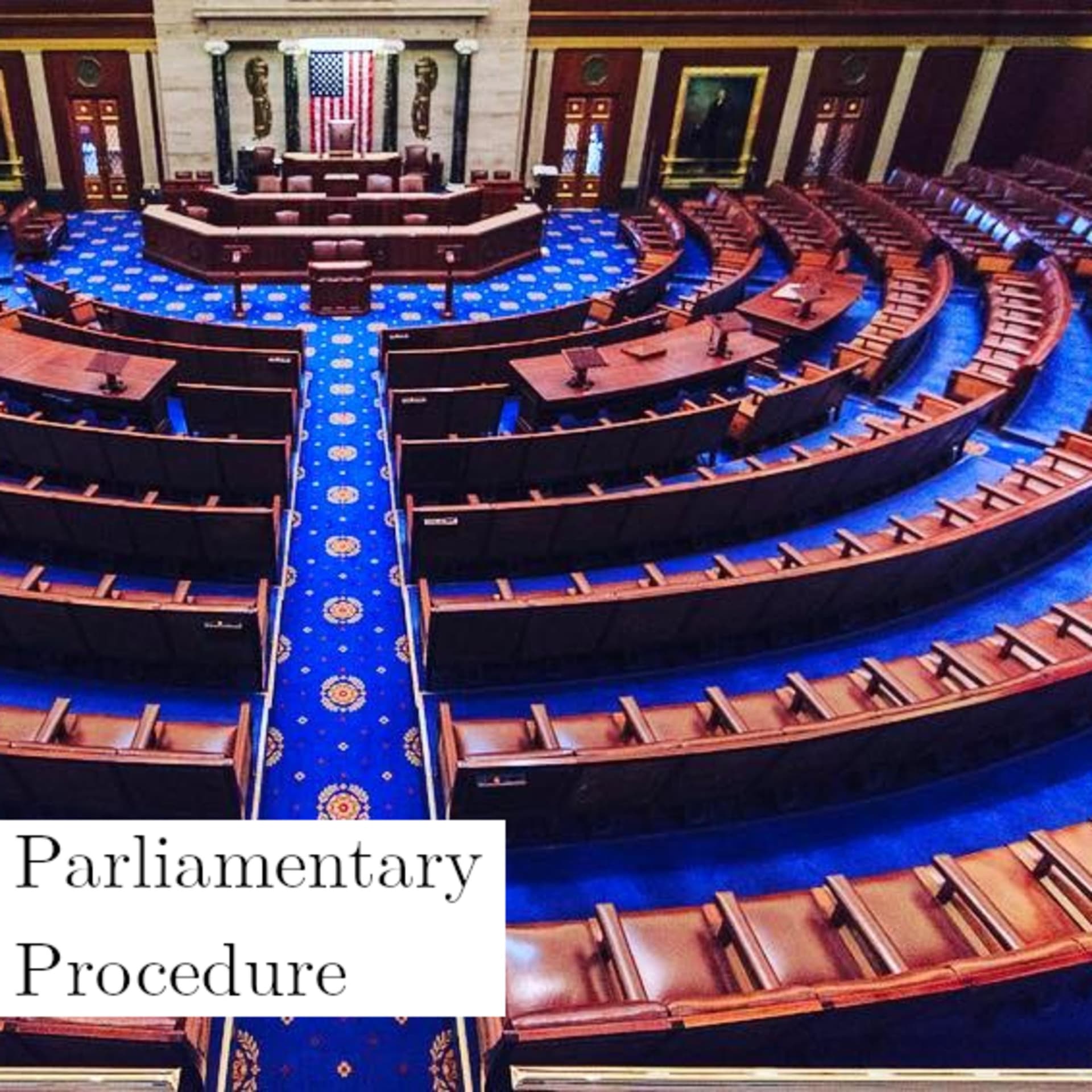 Parliamentary Procedure with Chris and Viktor - Podcasts