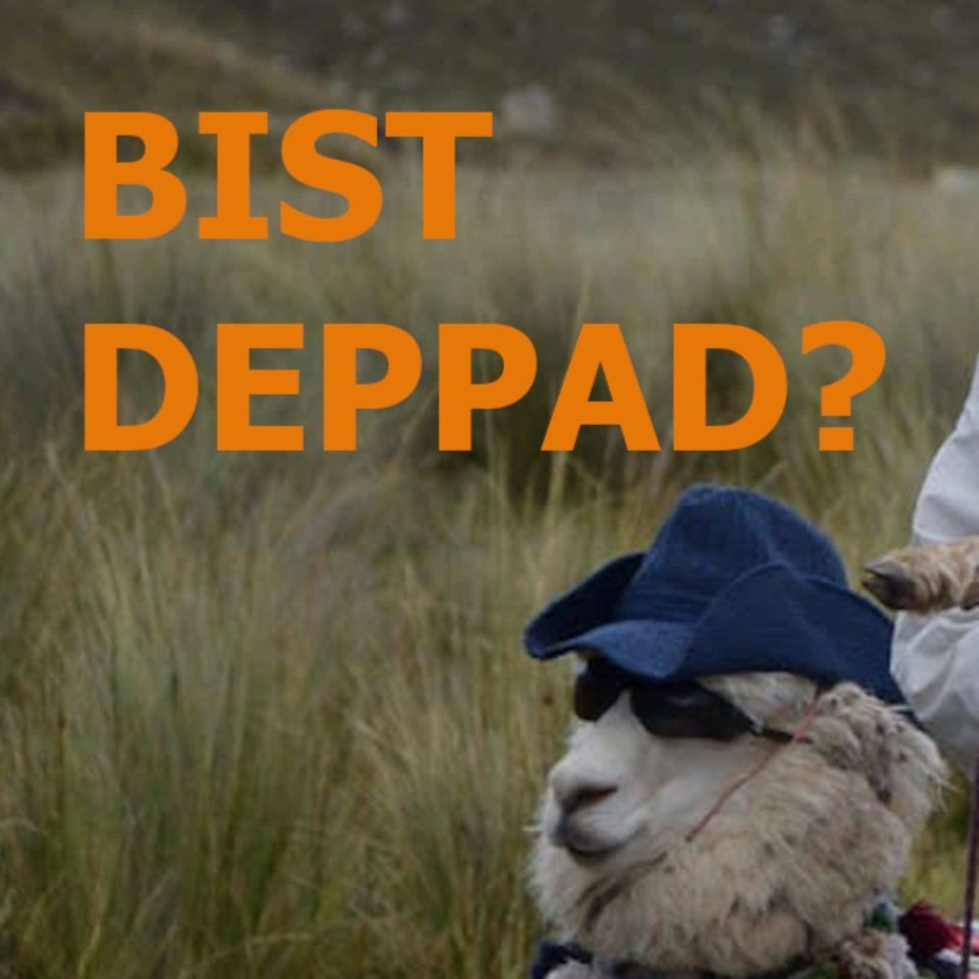 Bist Deppad? - Podcasts