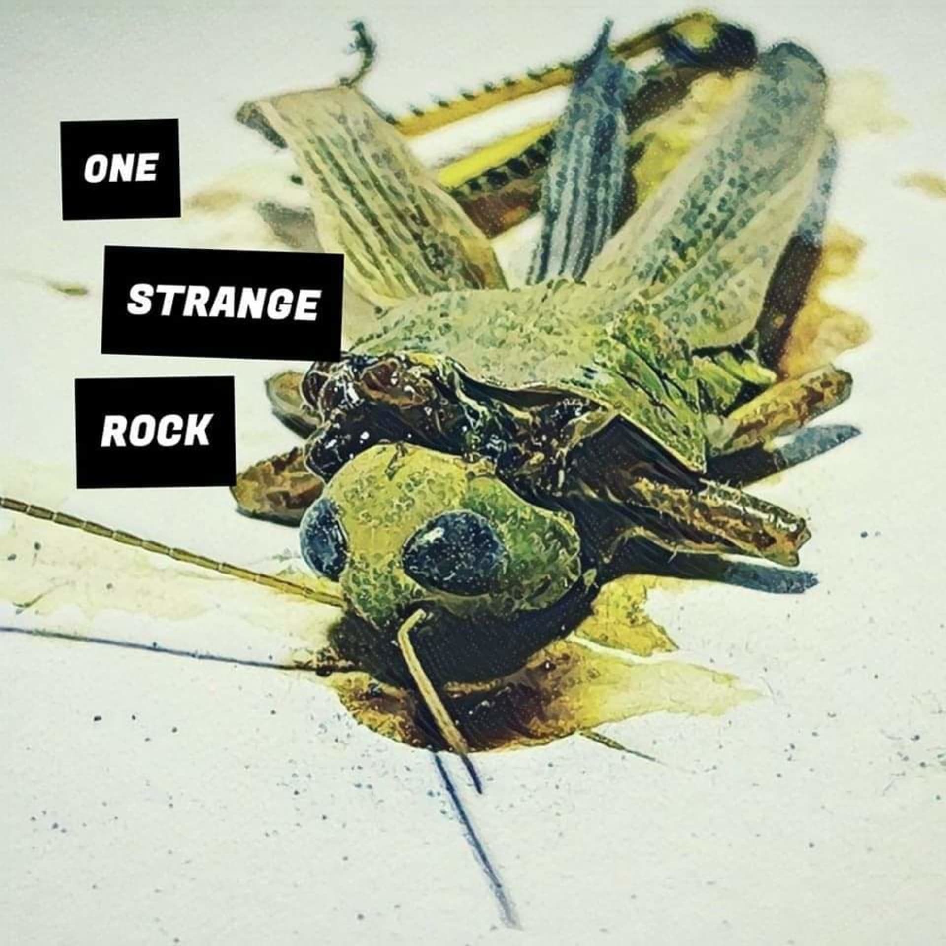 One Strange Rock - Podcast