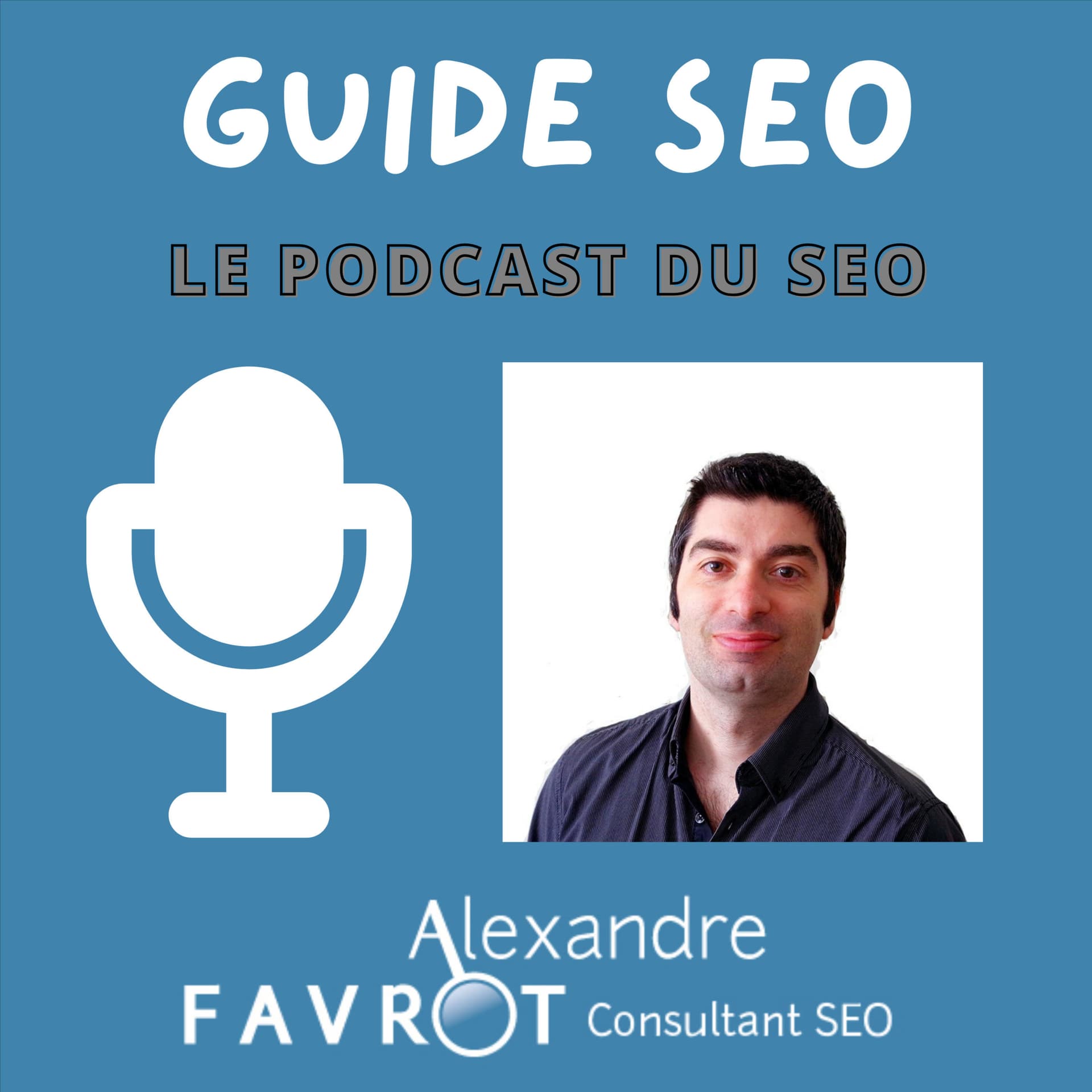 Guide SEO - Le Podcast du SEO - Podcasts