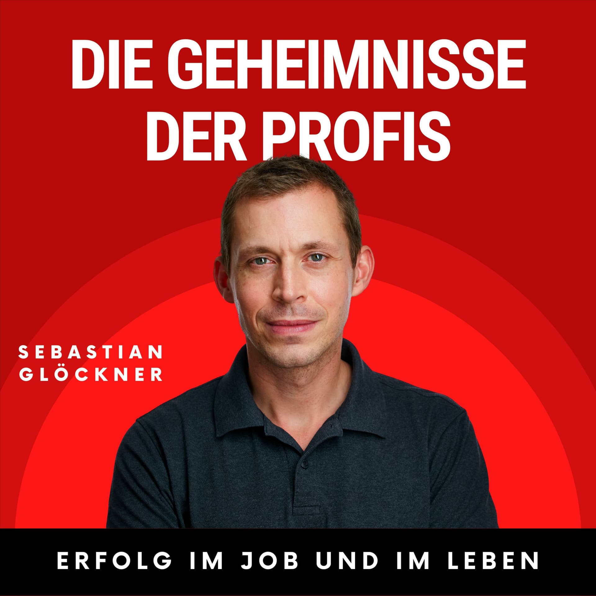 Die Geheimnisse der Profis - Erfolg im Job und im Leben - Podcasts