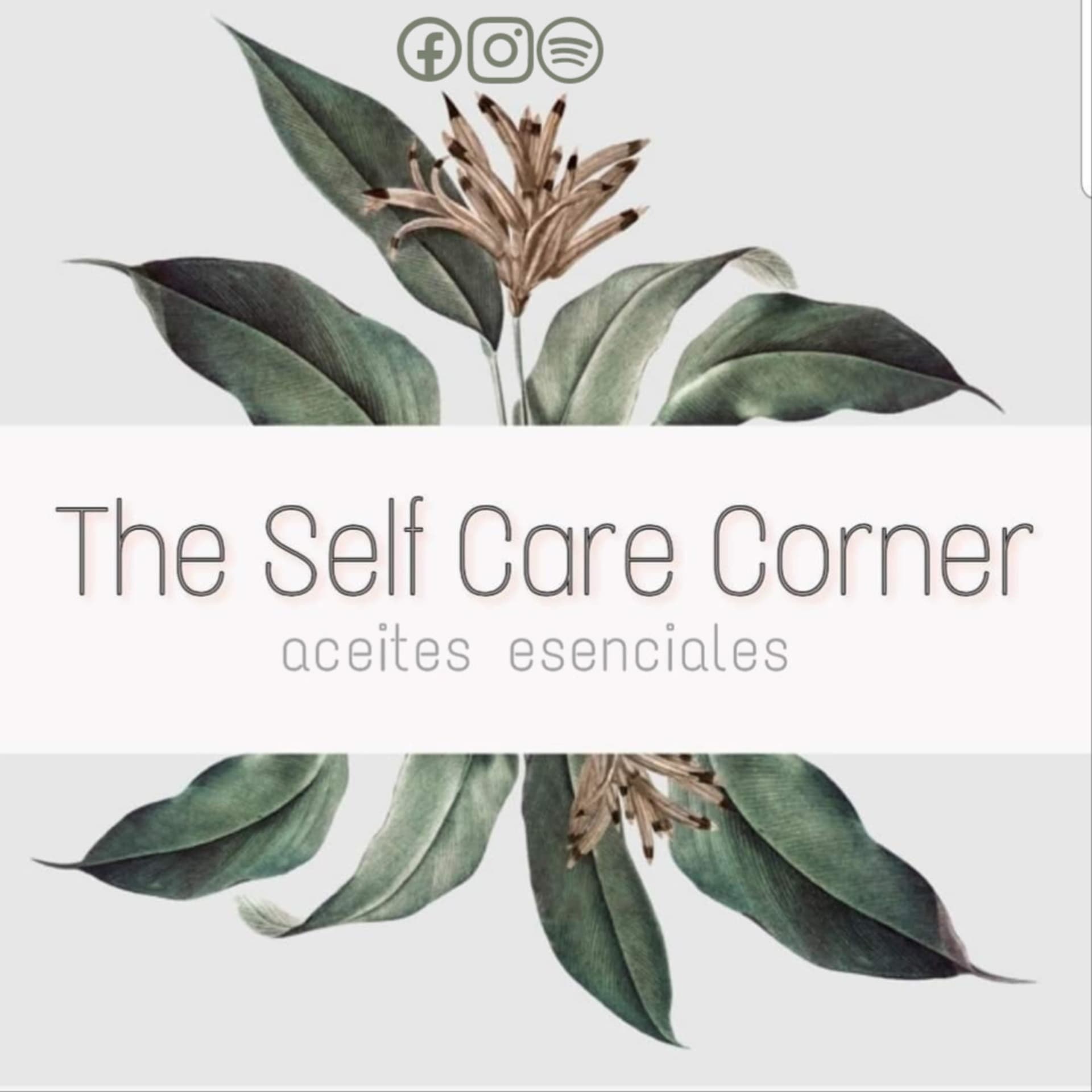 The Self Care Corner - Podcasts
