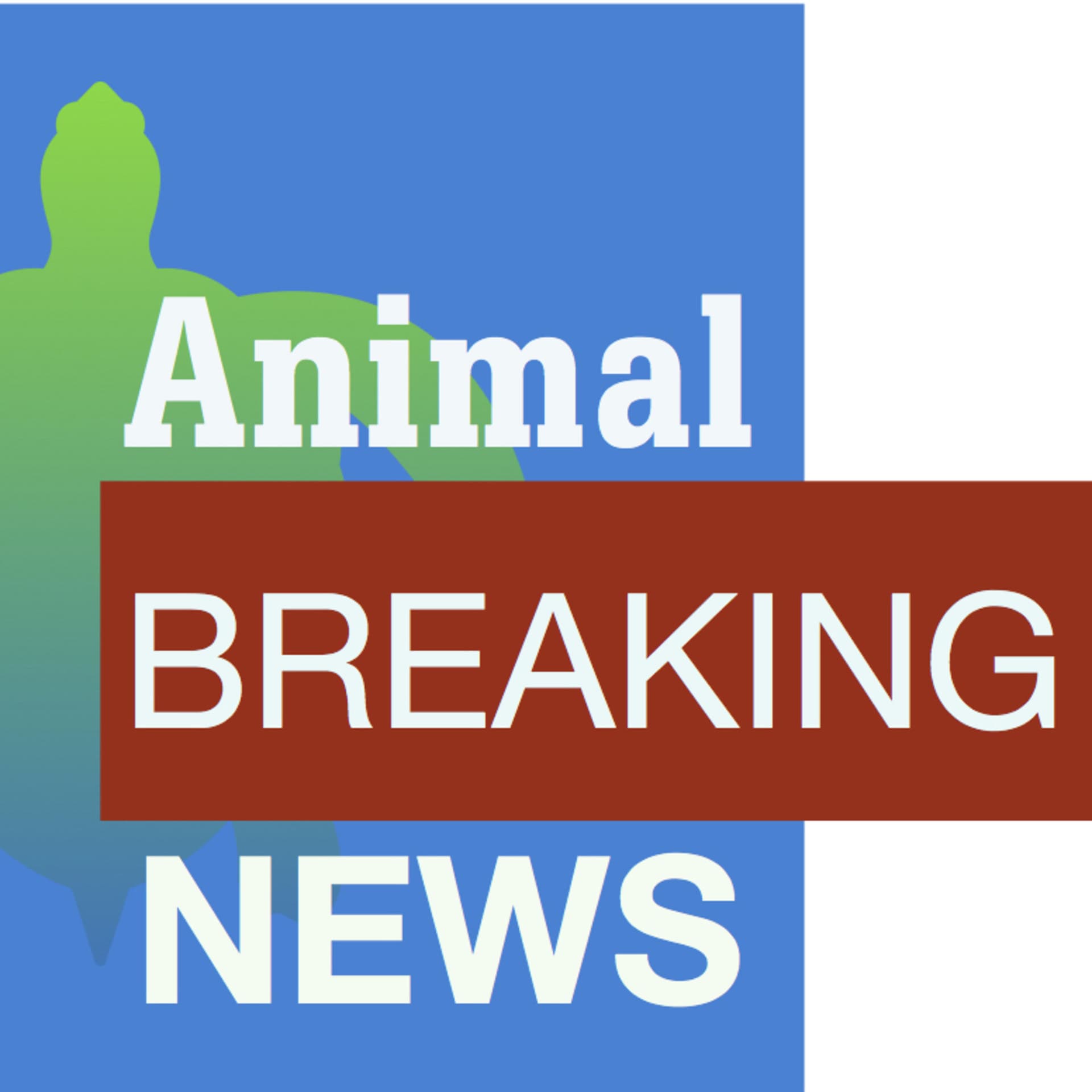Animal Breaking News - Podcasts