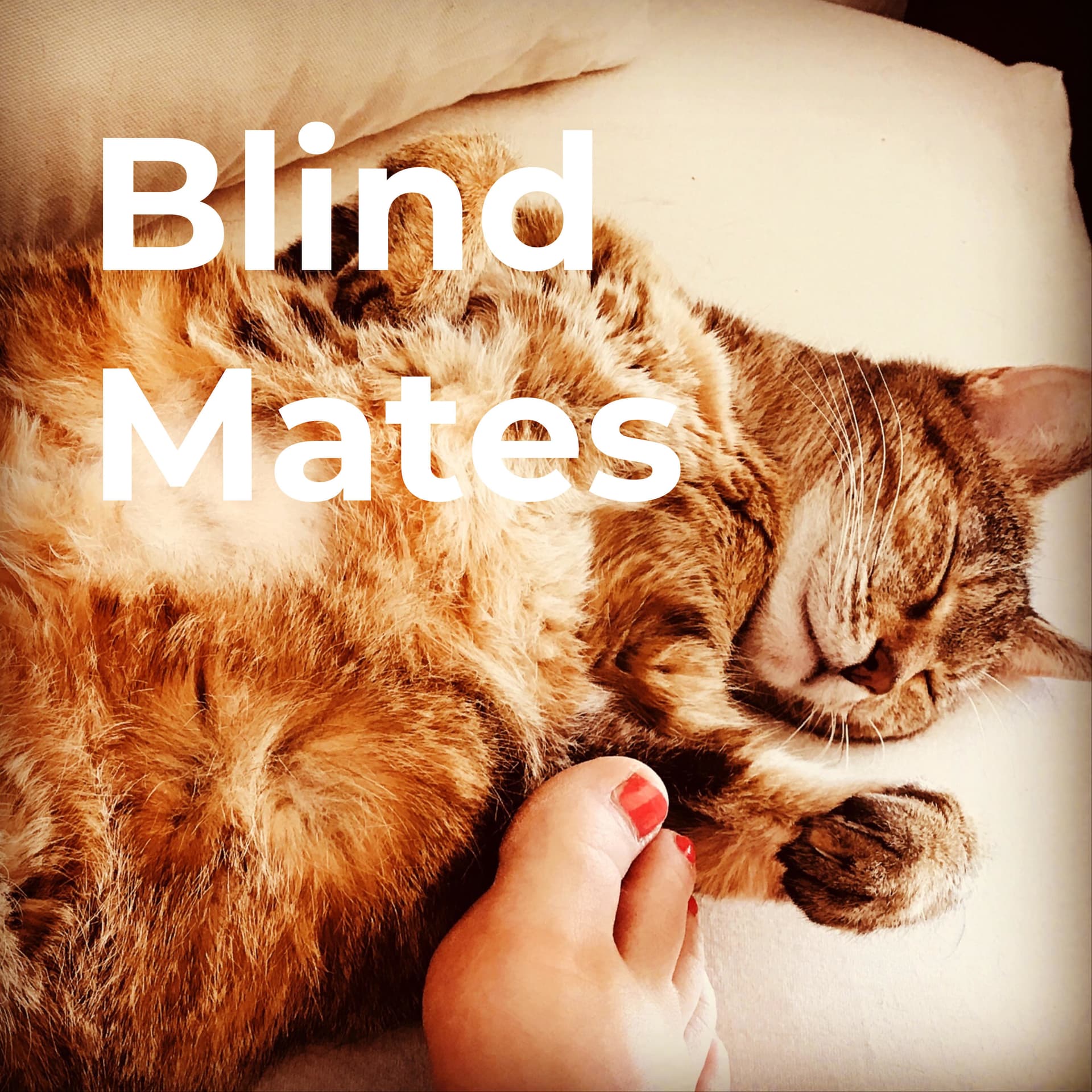 Blind Mates - Podcasts