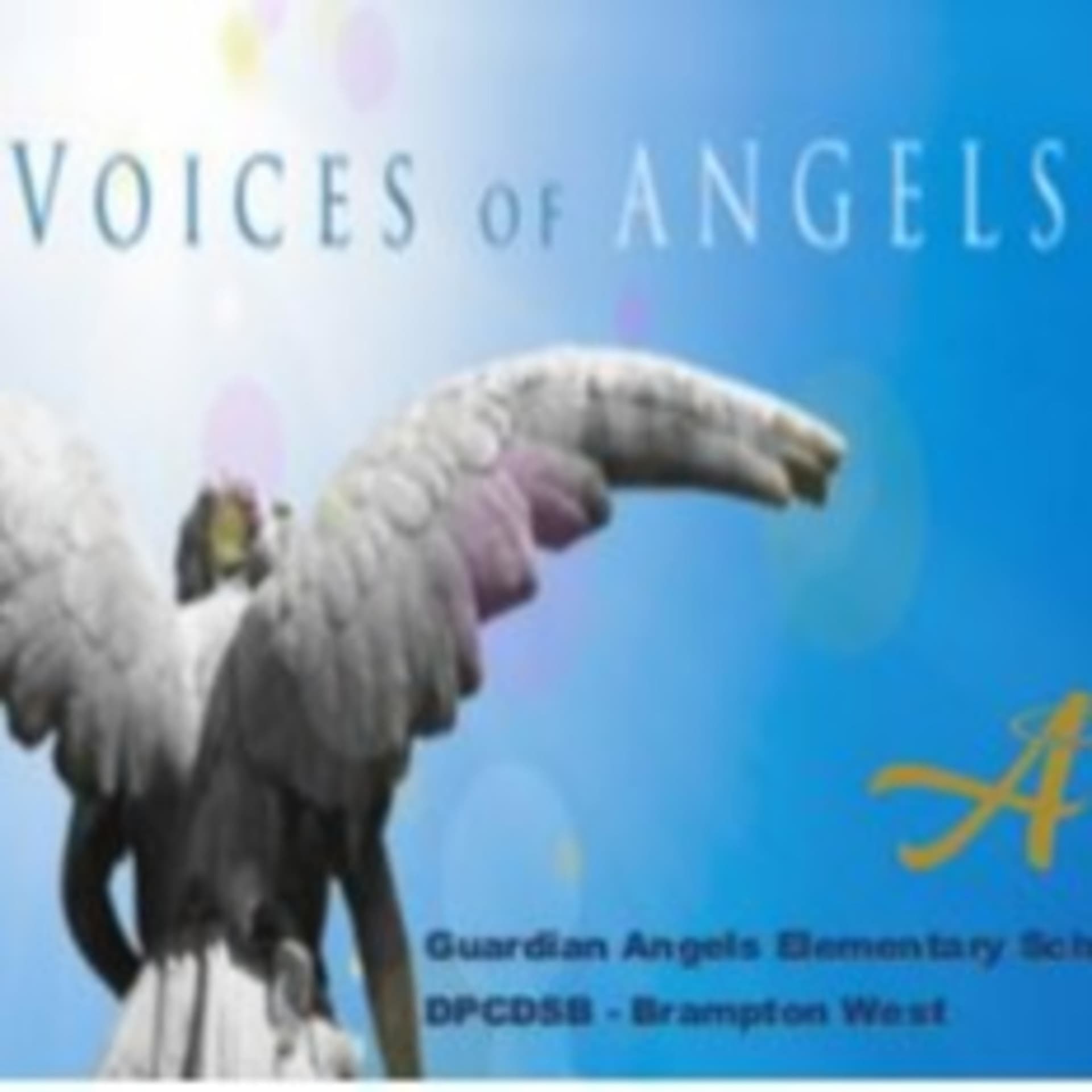 Voices of Angels - Guardian Angels BWDPCDSB
