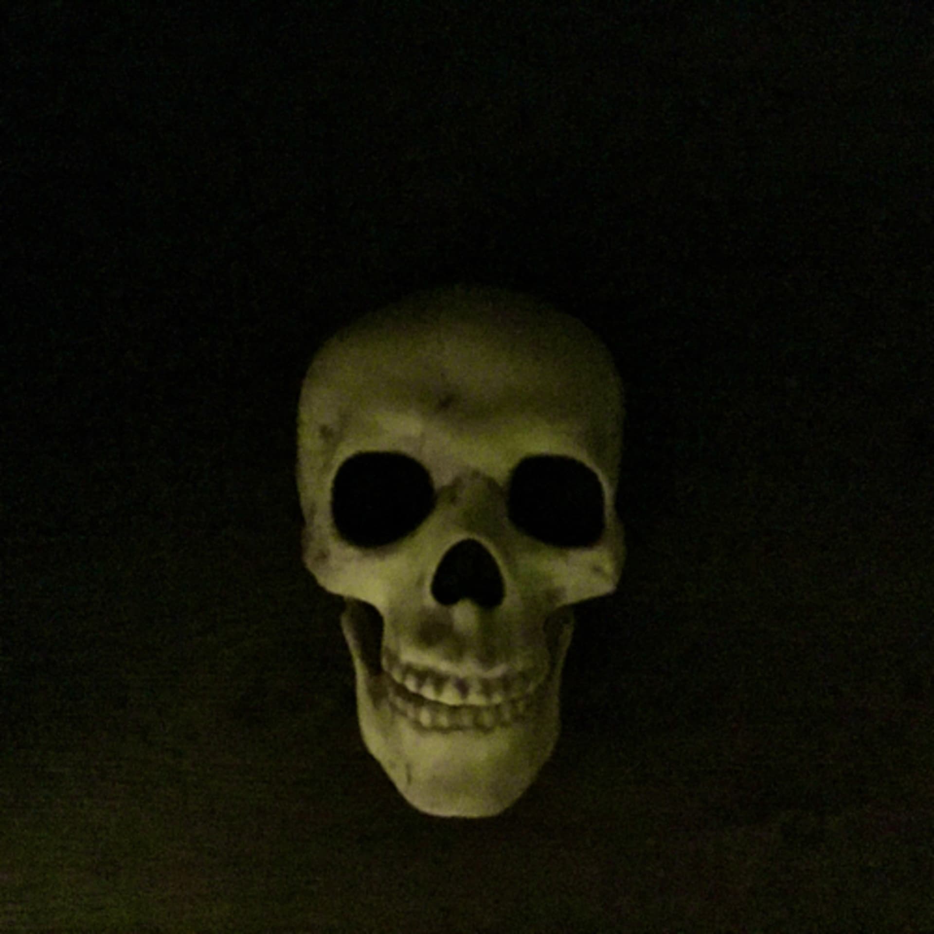 Spookybitsnscarypieces - Podcasts