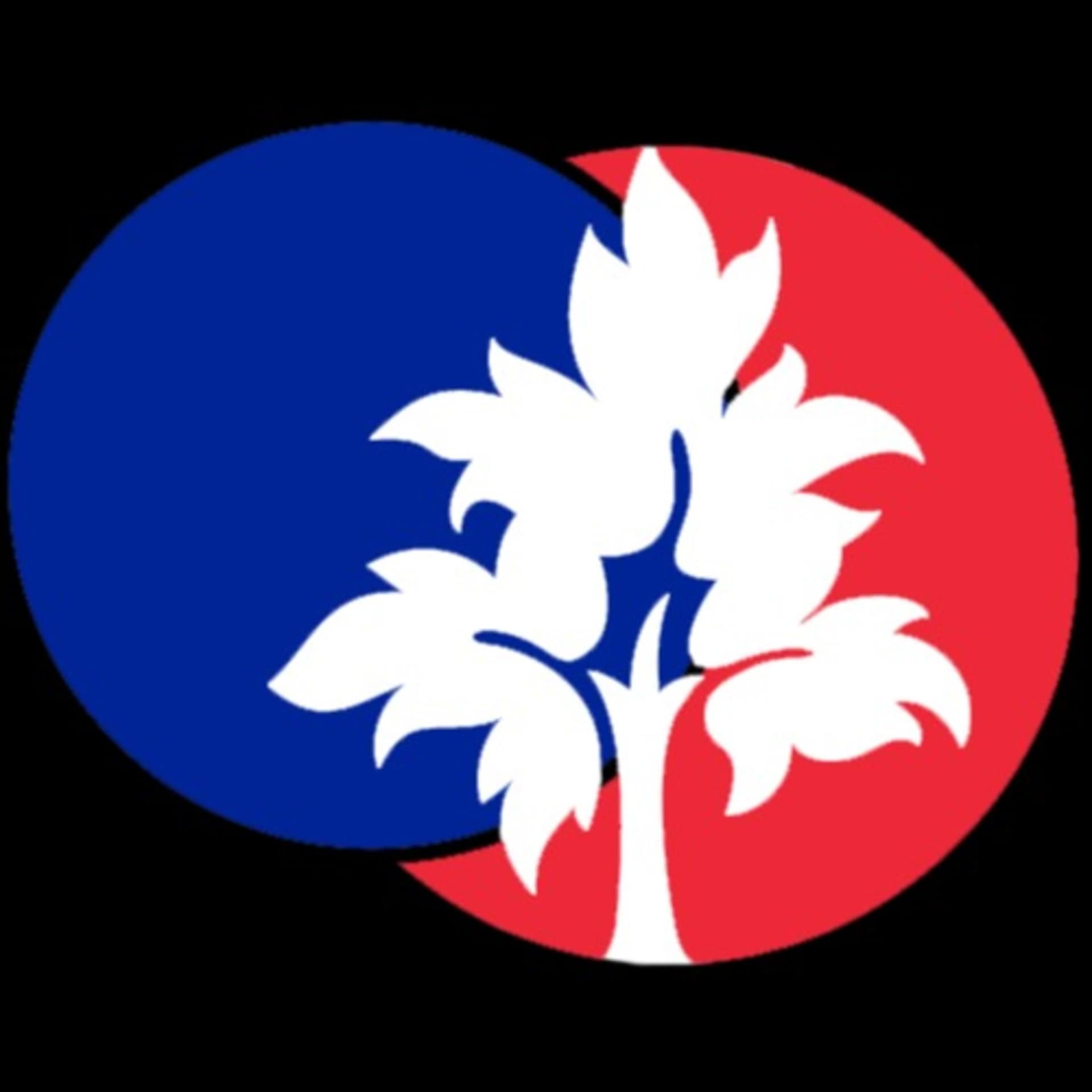 AnyFrench Podcast - French Intermediate Podcast - Podcasts