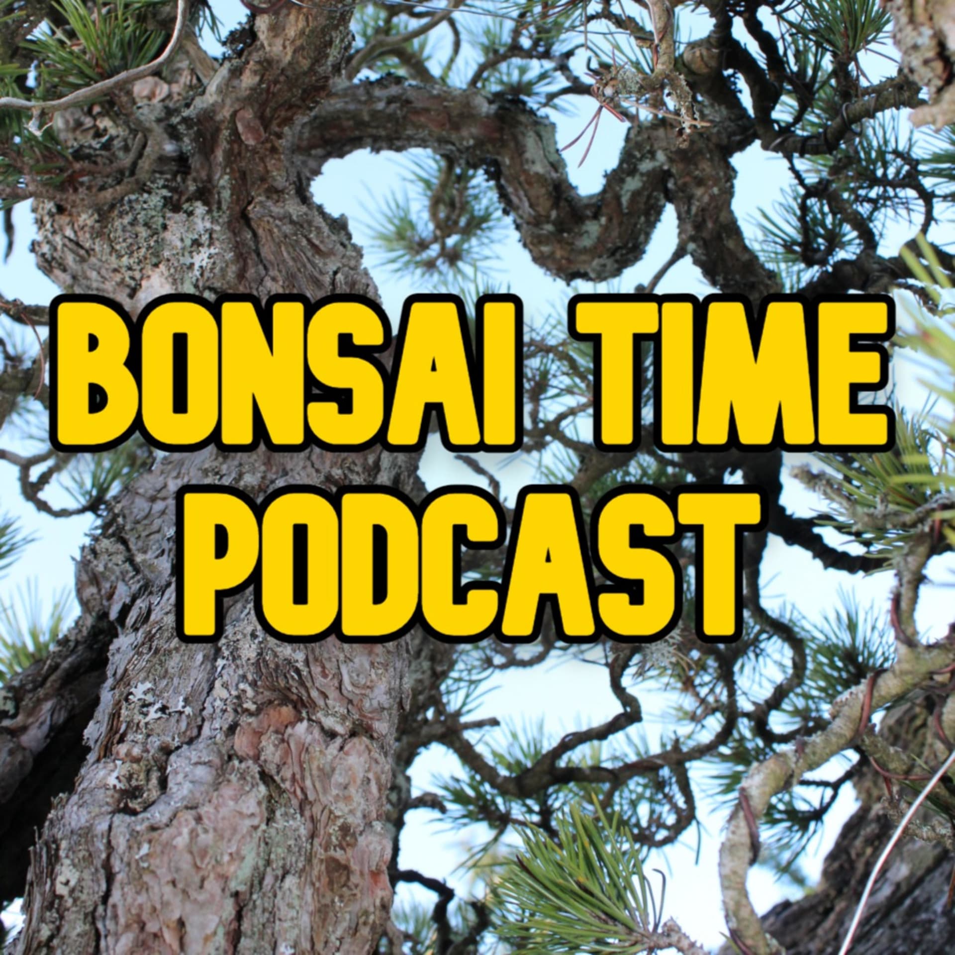 Bonsai Time Podcast - Podcasts