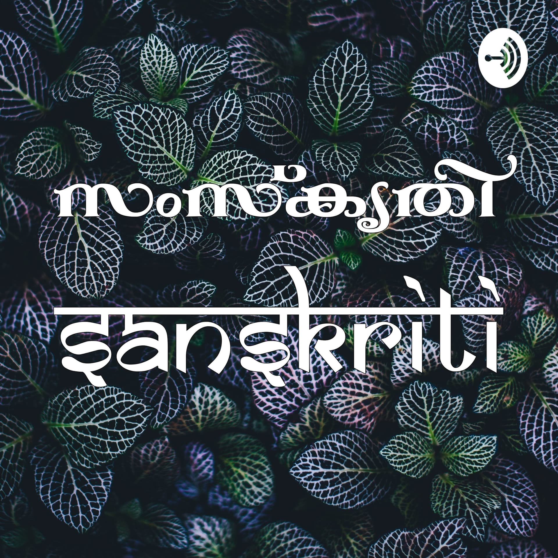 സംസ്കൃതി - Sanskriti By Ram & Anju - Podcast