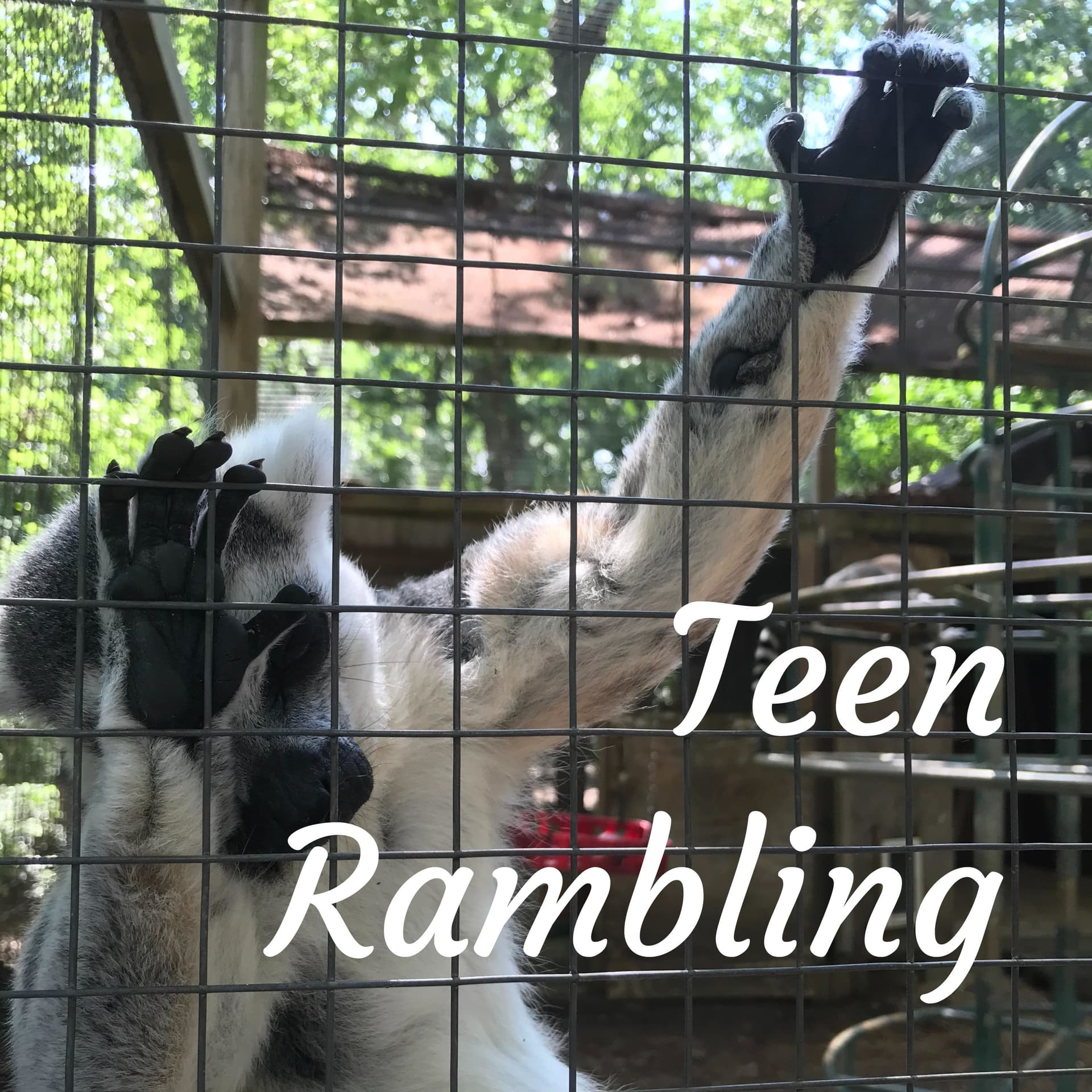 Teen Rambling - Podcasts