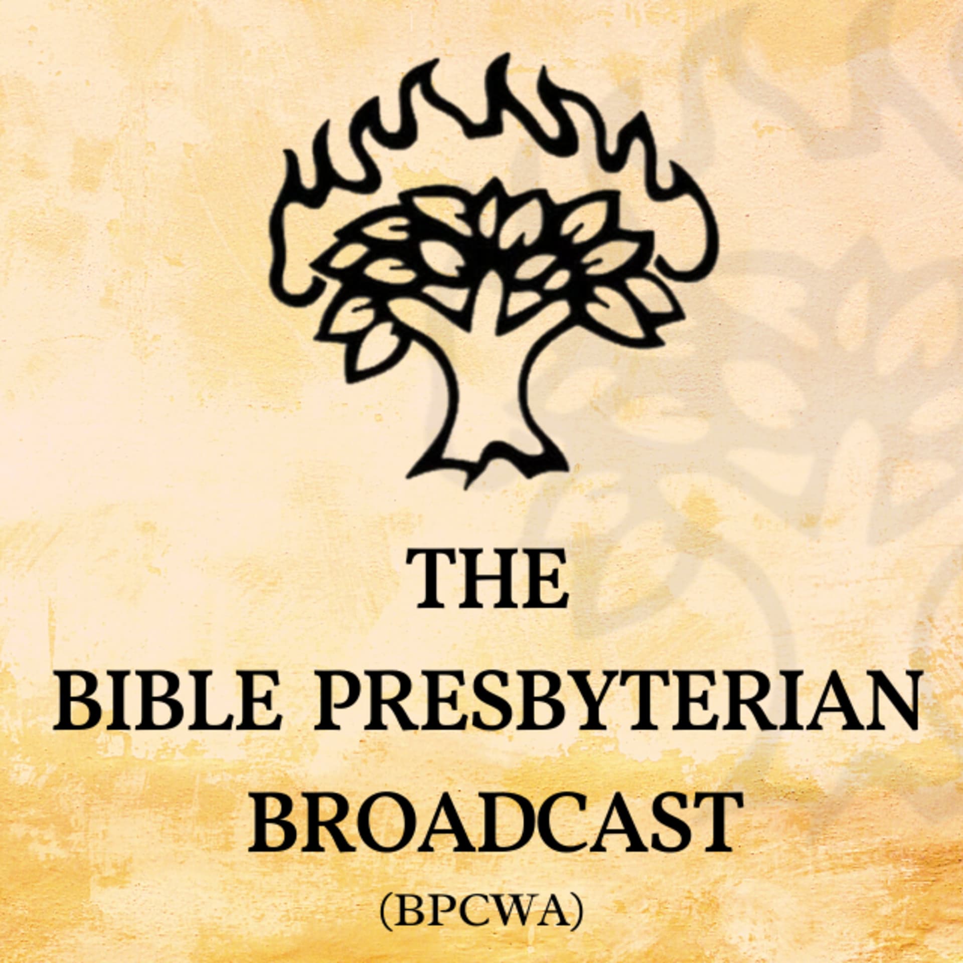 The Bible Presbyterian Broadcast (BPCWA) - Podcasty
