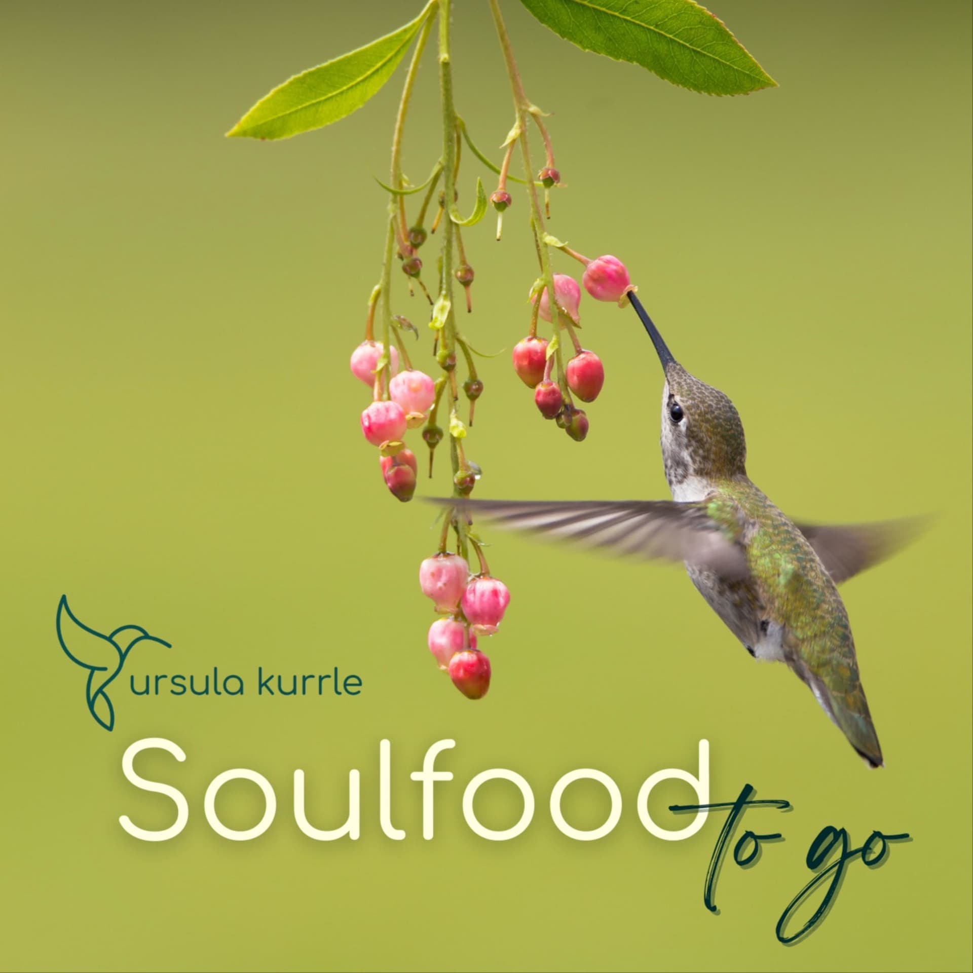 Soulfood to go - Podcast