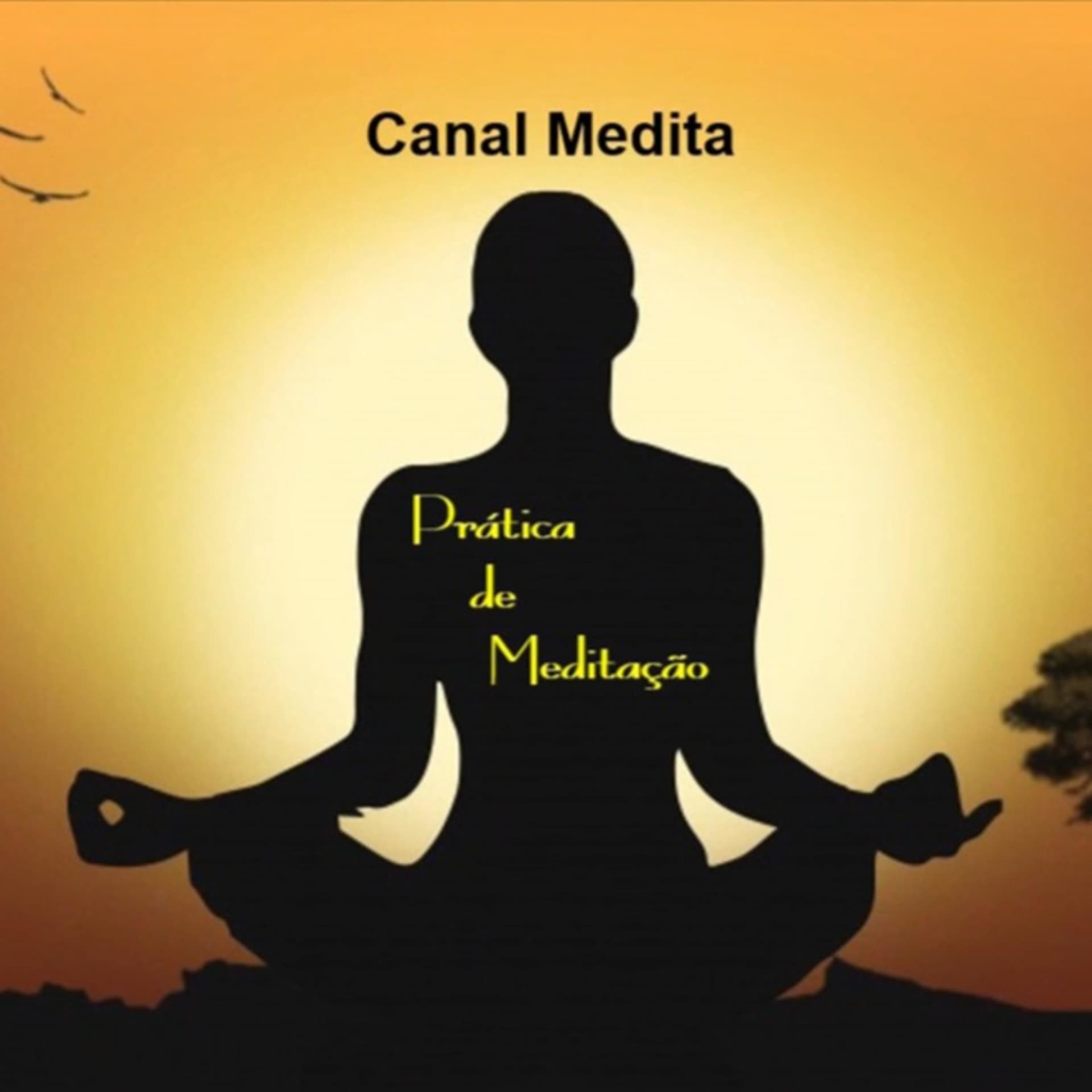 Canal Medita - Podcasts