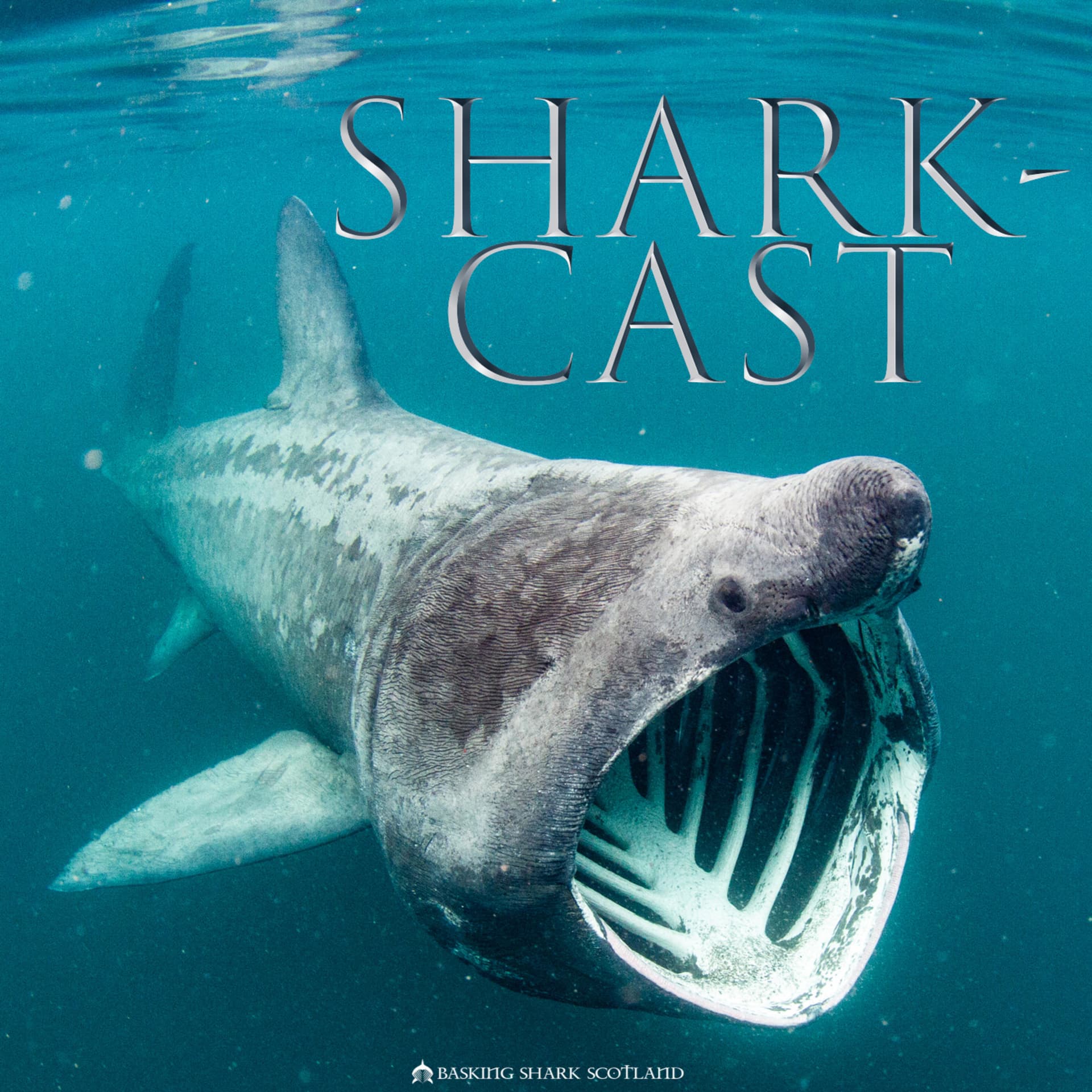 Shark-Cast - Podcastler