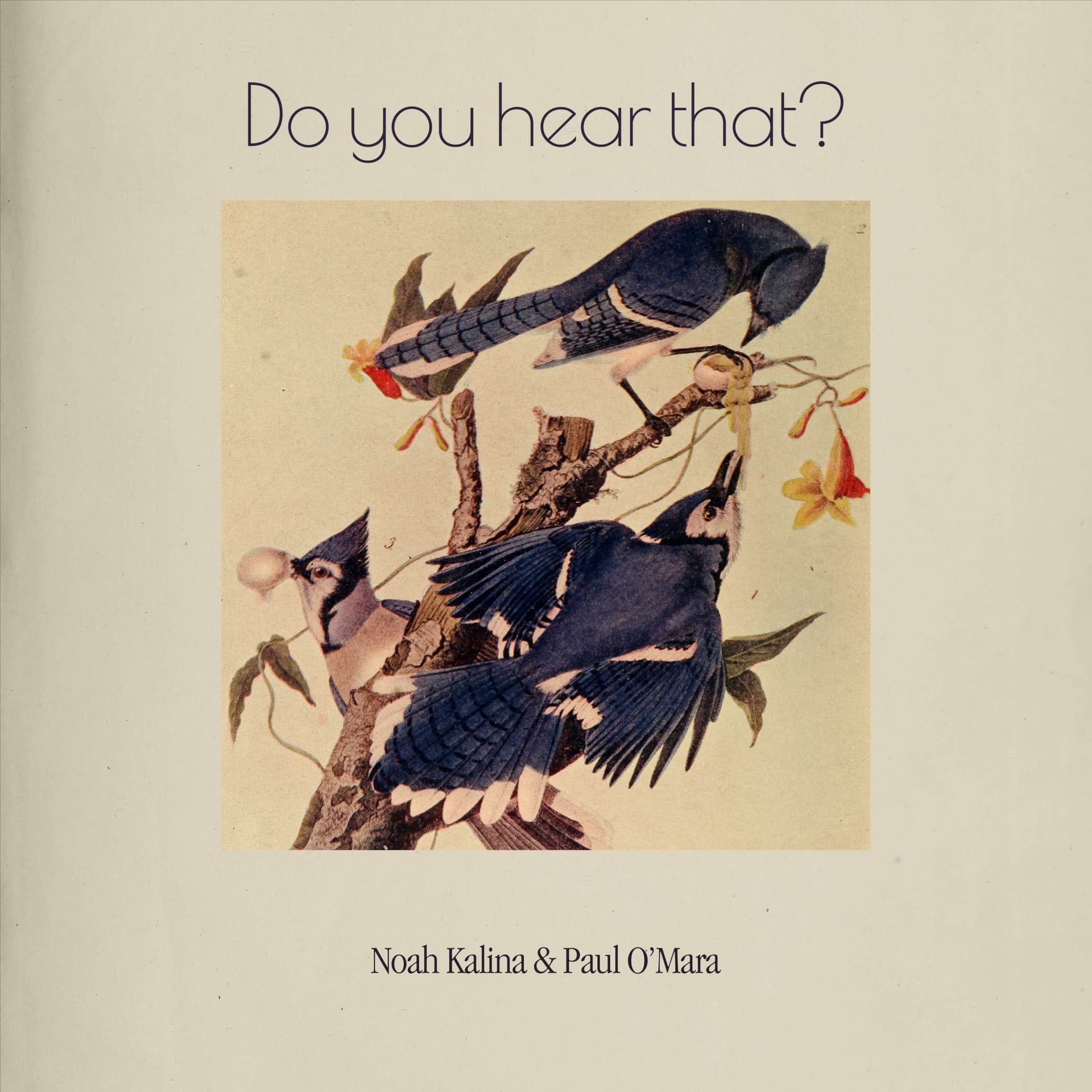 Do you hear that? - Podcasts