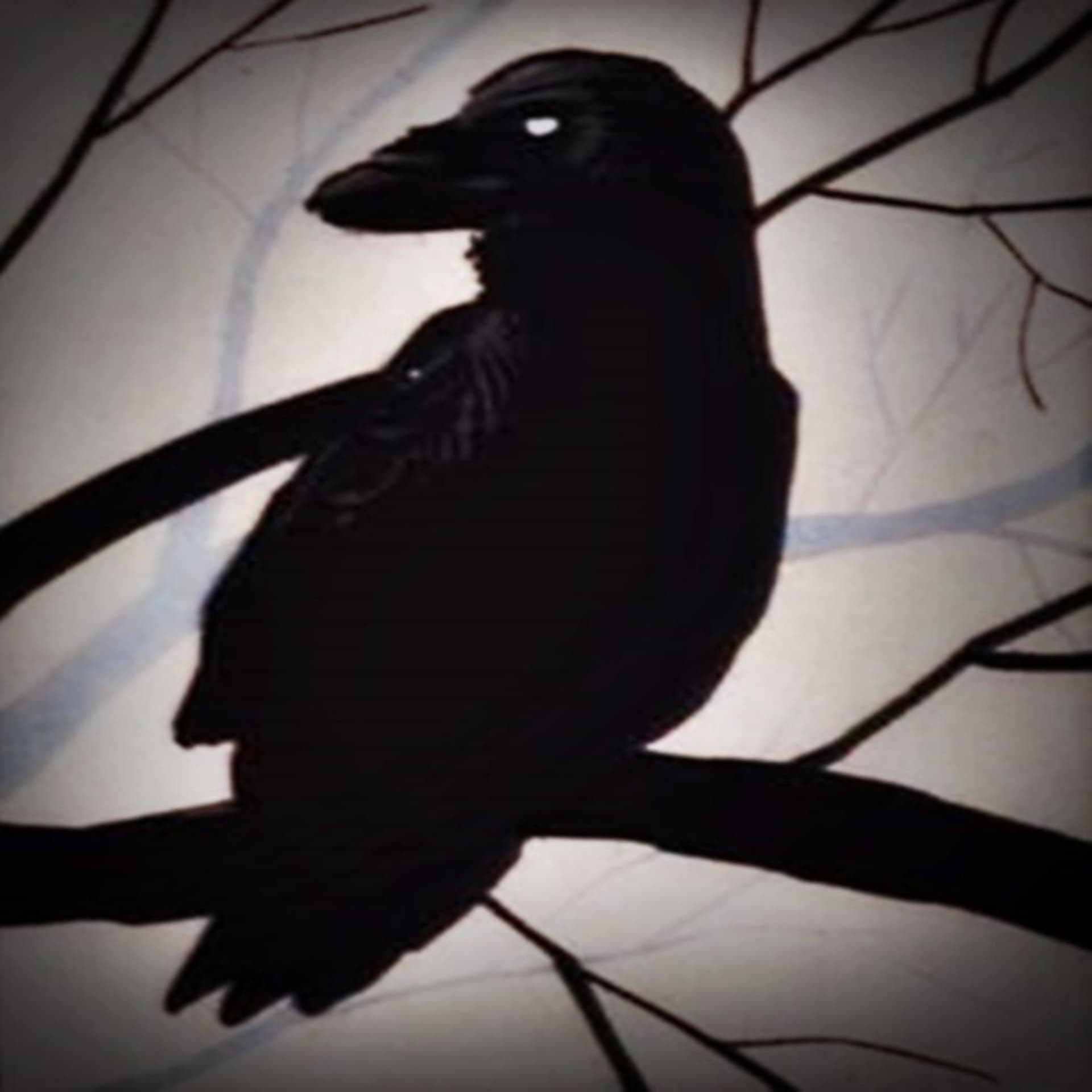 Cantinho do Corvo - Podcasts