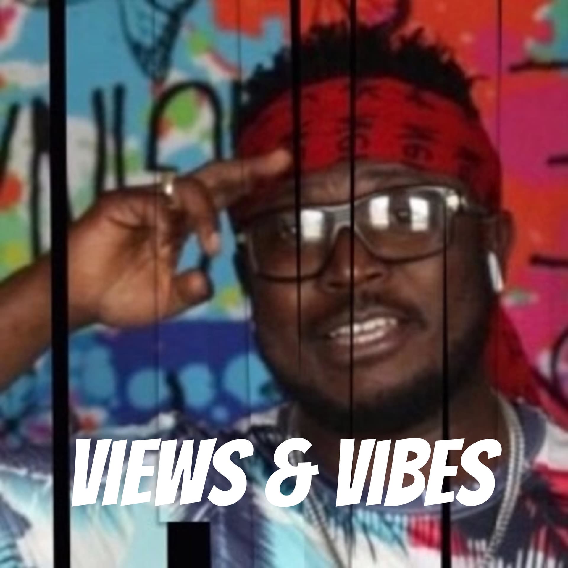Views & Vibes - Podcast