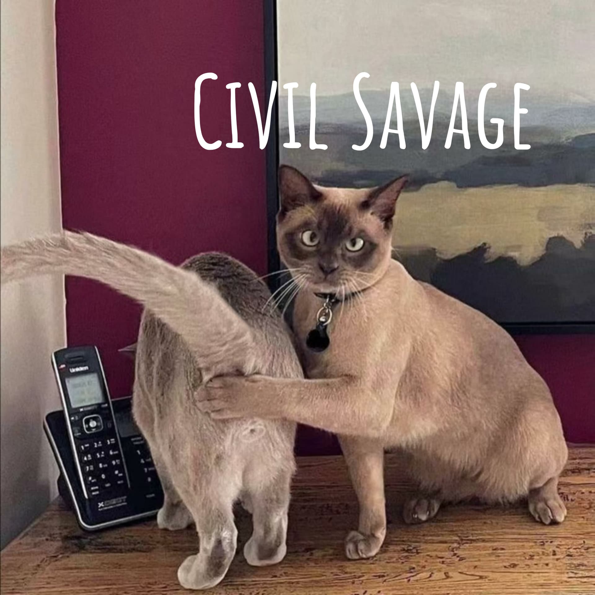 Civil Savage - Podcasts