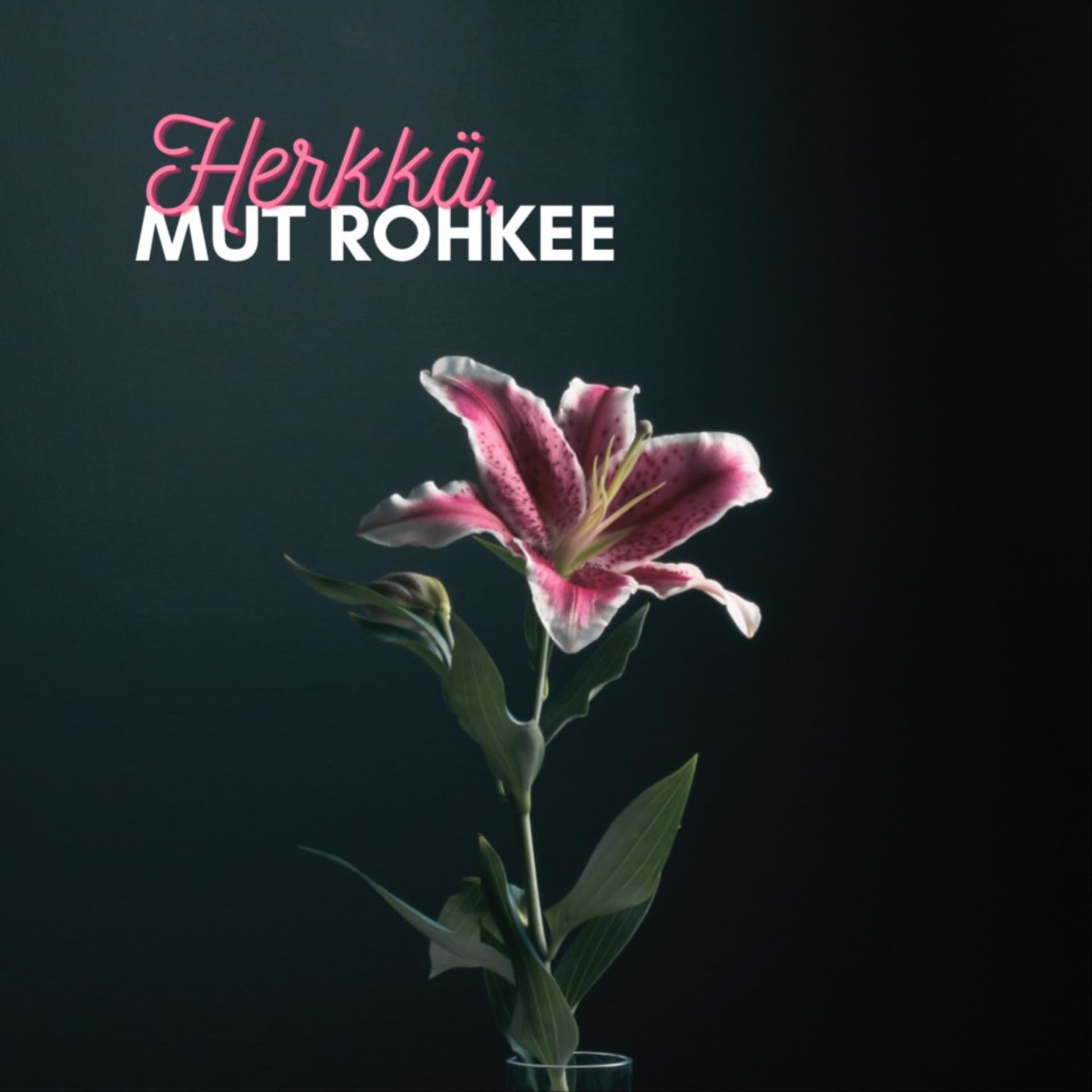 Herkkä, mut rohkee - Podcastler