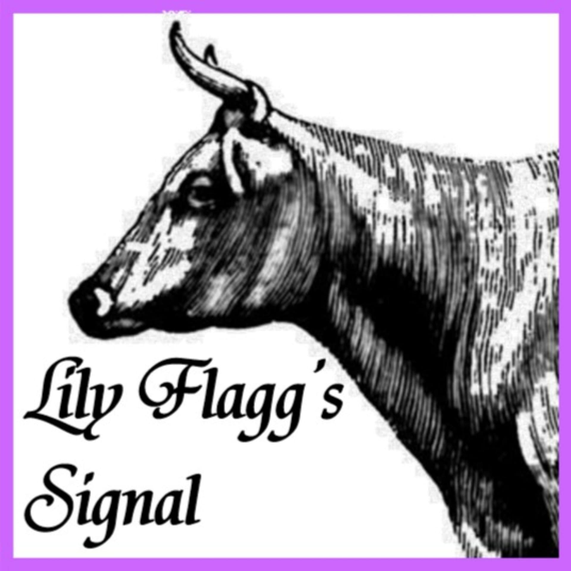 Lily Flagg's Signal - Podcasts