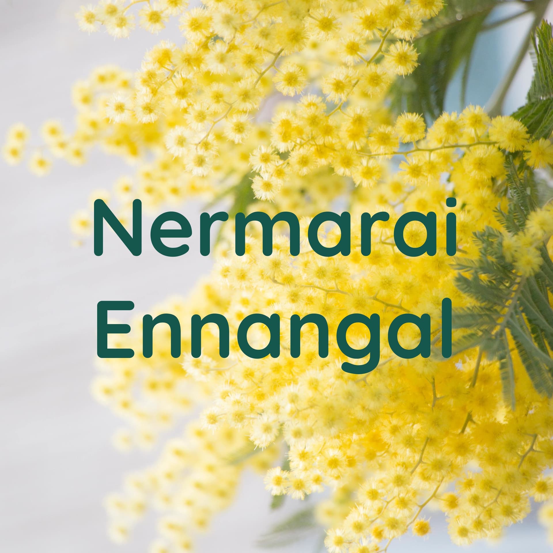 Nermarai Ennangal - Podcastler