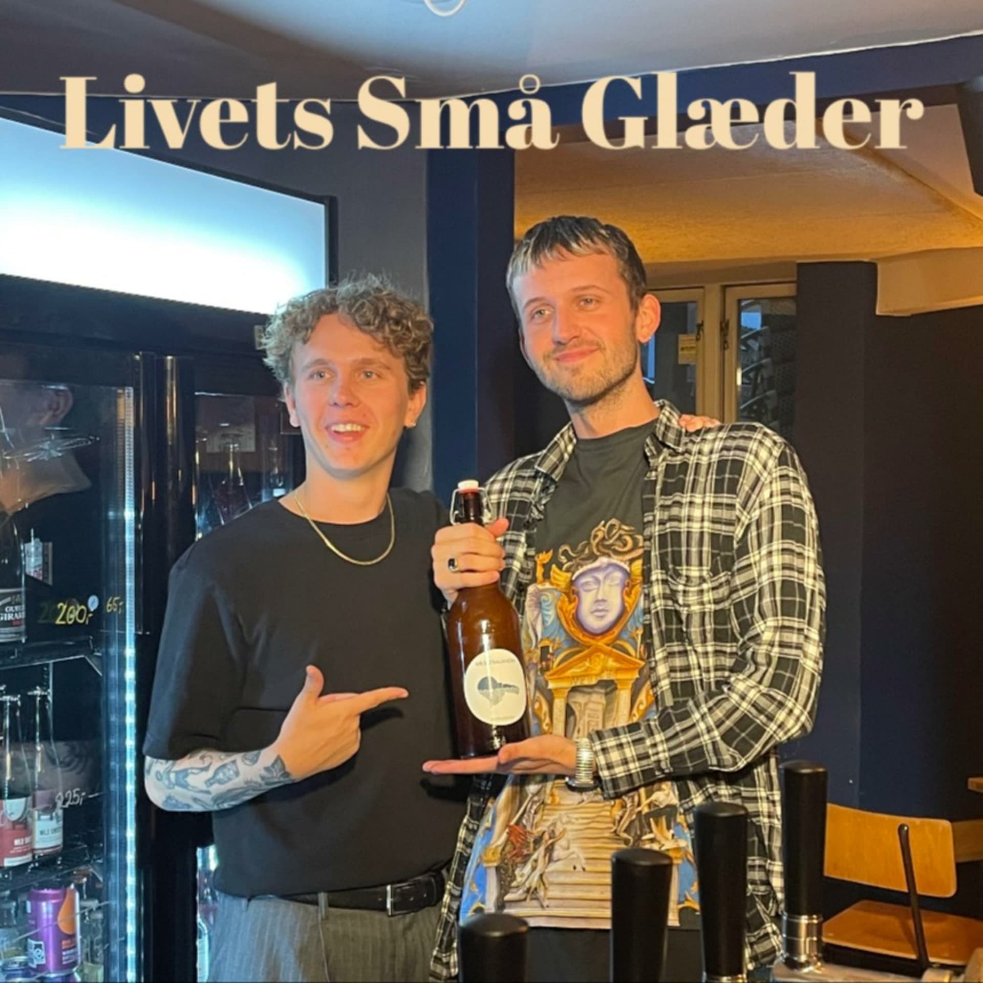 Livets Små Glæder - Podcasts