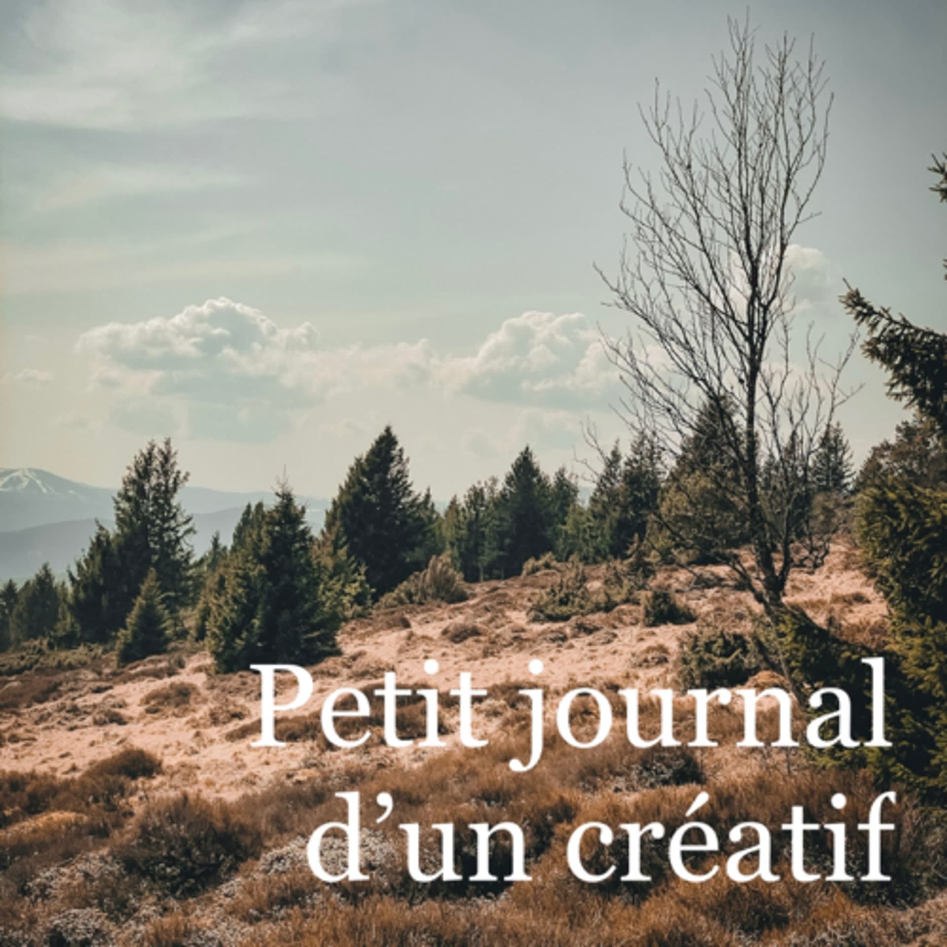 Petit journal d’un créatif - Podcasts