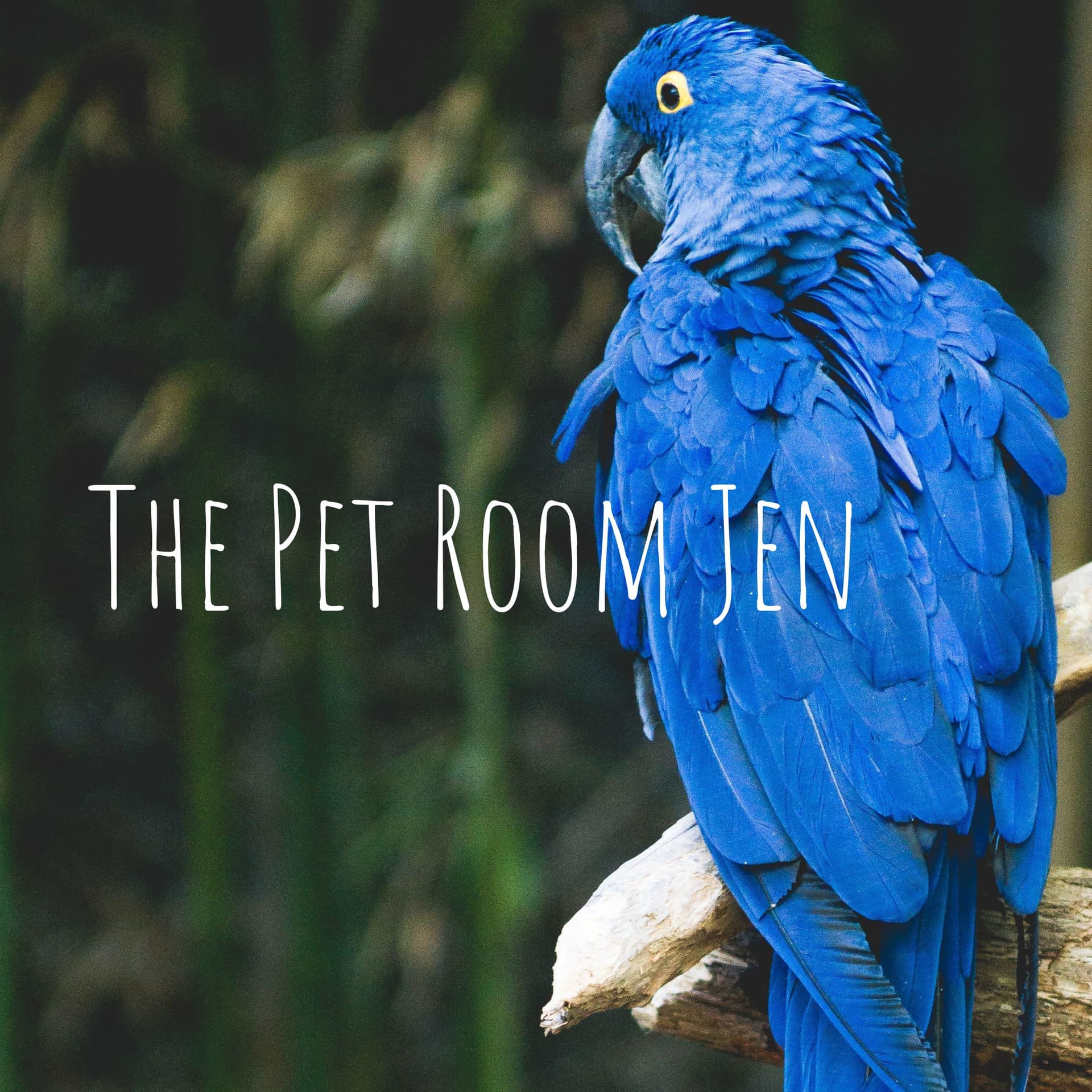 The Pet Room Jen - Podcasts