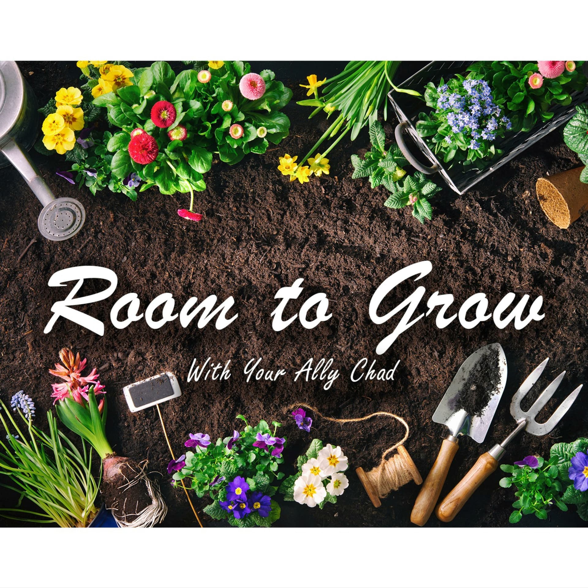 Room To Grow With Your Ally Chad - Podcasts