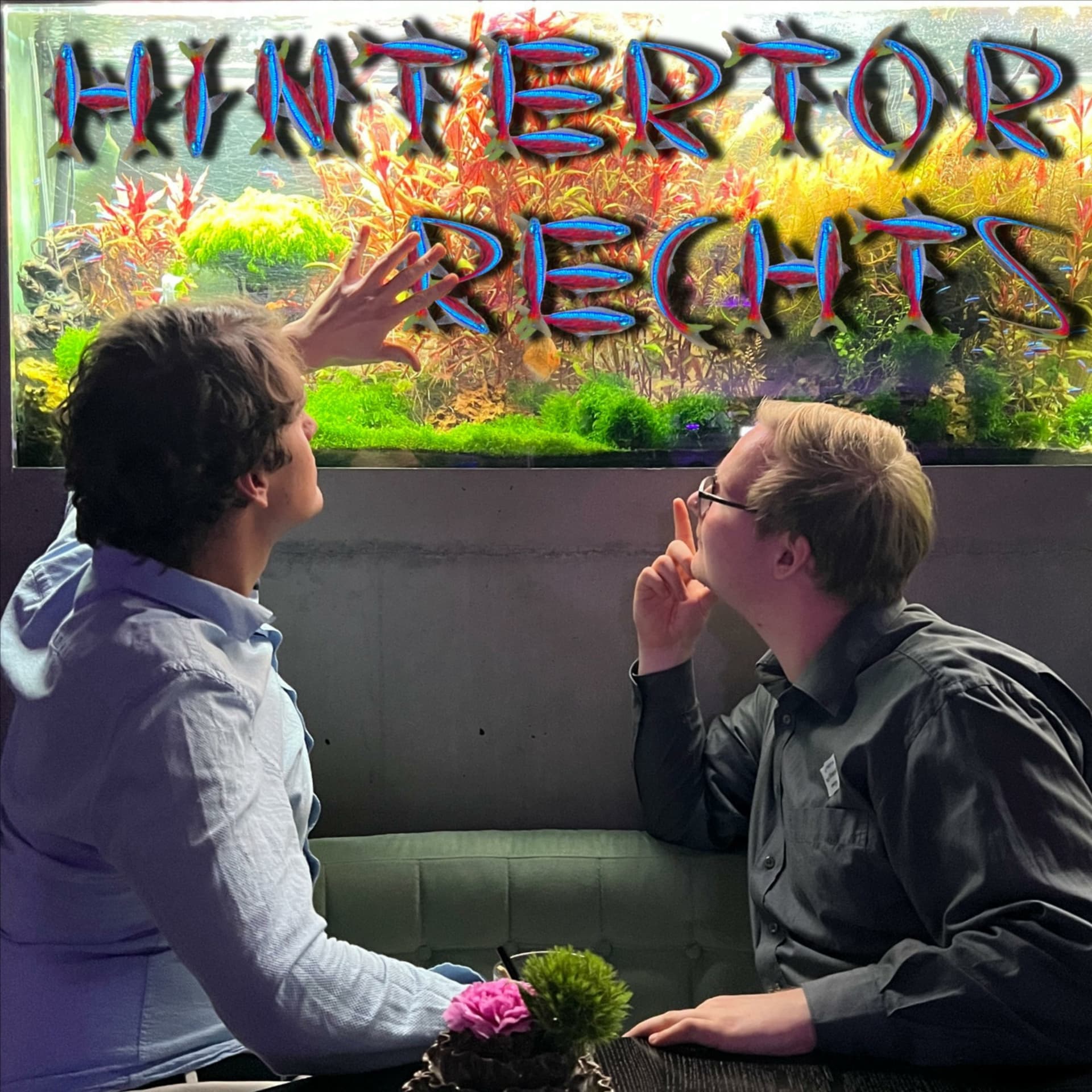 Hintertor rechts - Podcasts