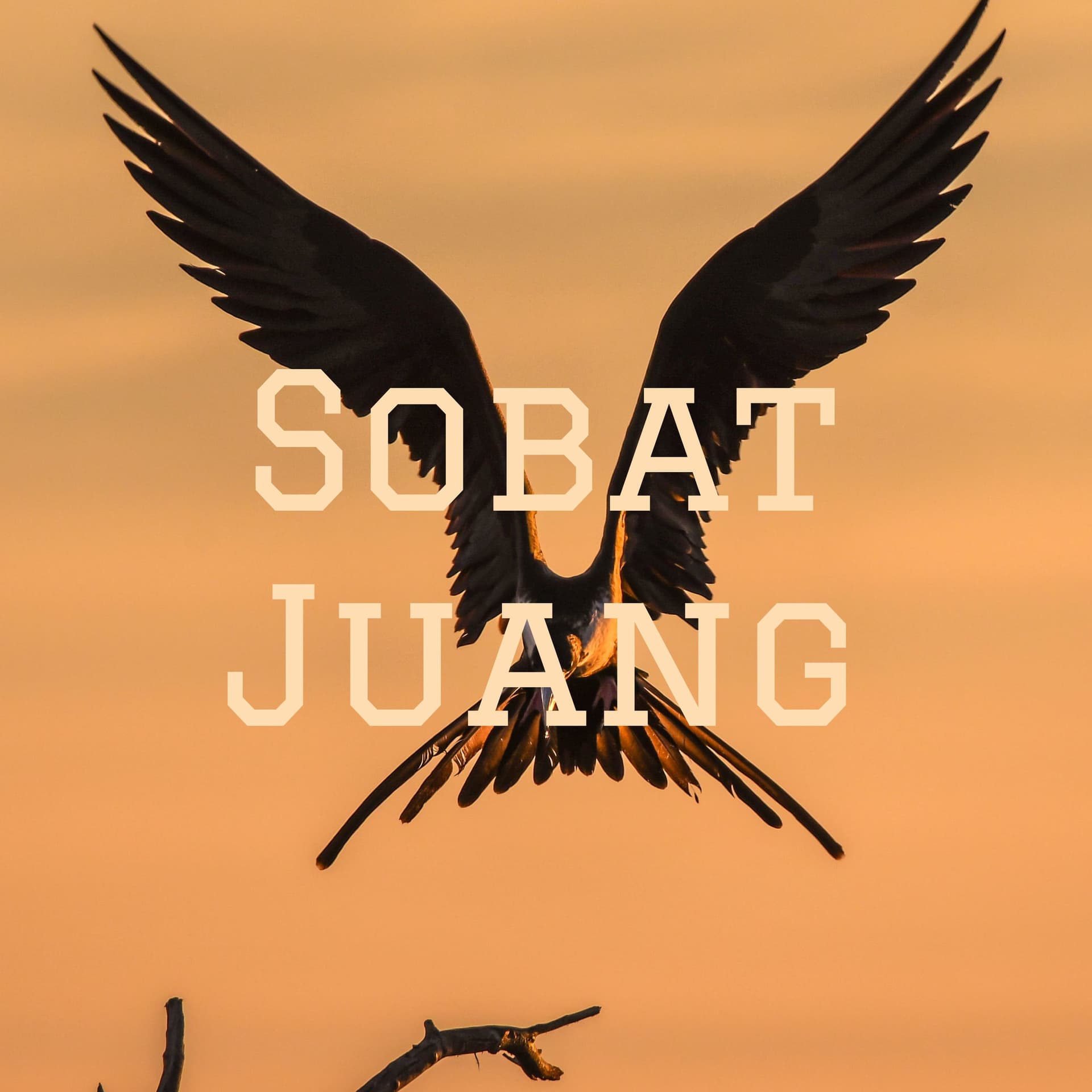 Sobat Juang - Podcasts