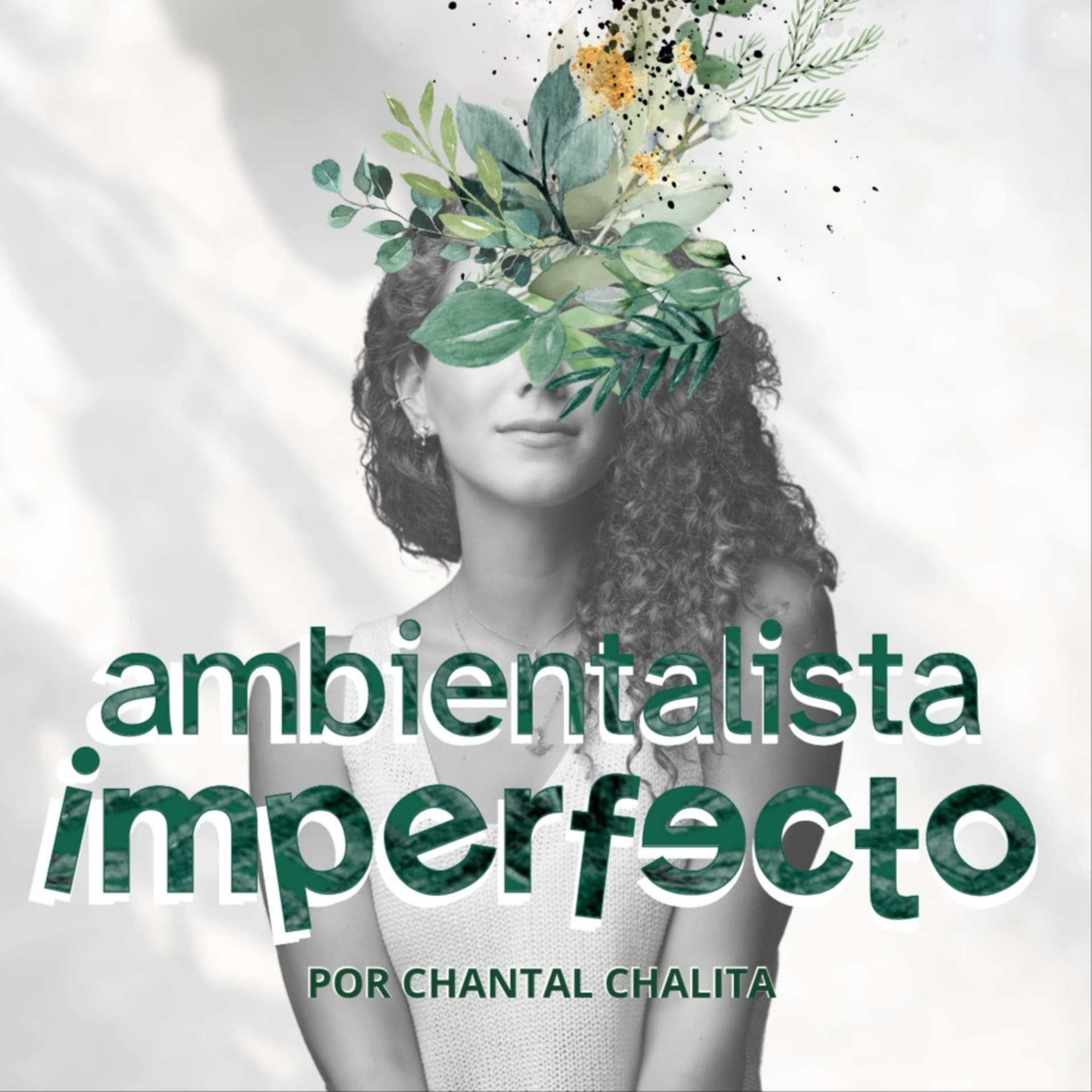 Ambientalista Imperfecto - Podcasts