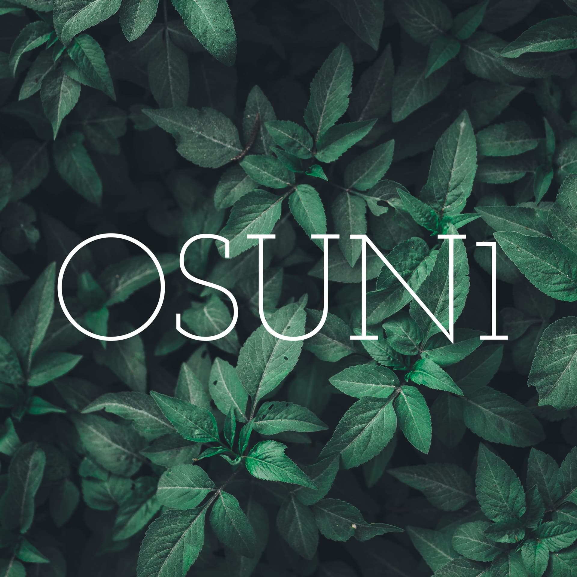 OSUN1 - Podcasts