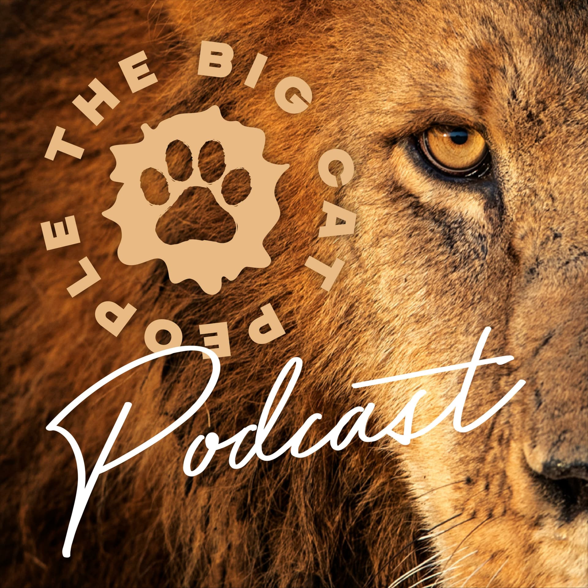 The Big Cat People Podcast - Podcast