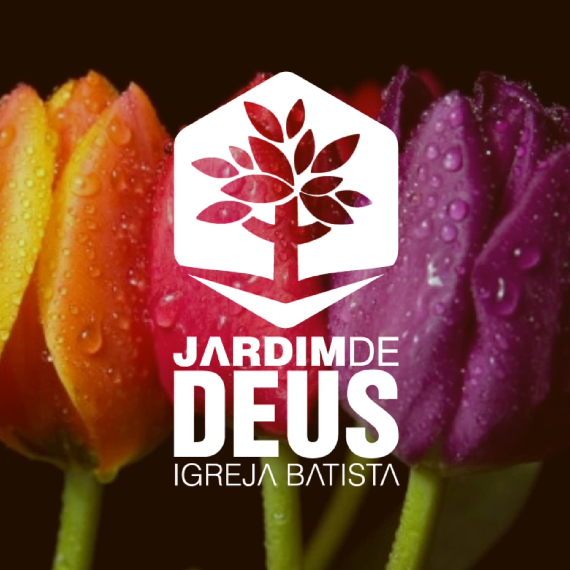 Jardimcast - Podcasts