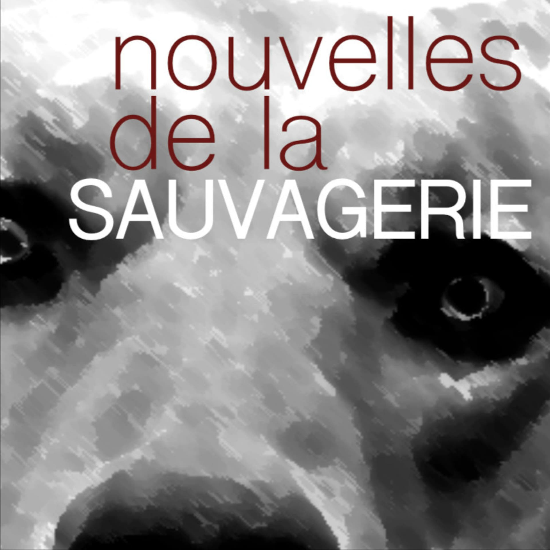 Nouvelles de la Sauvagerie - Podcasts
