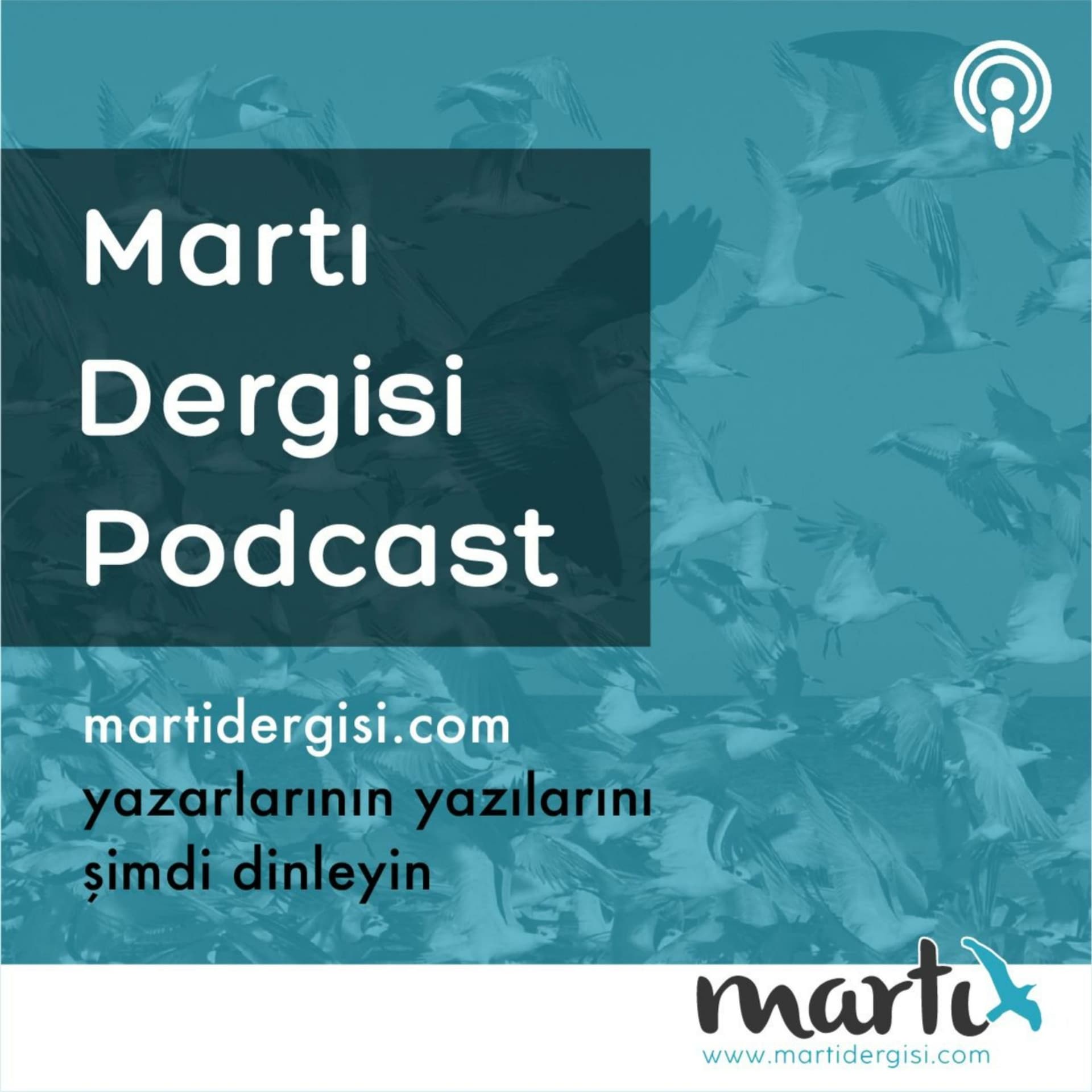 Martı Dergisi Podcast - Podcasts