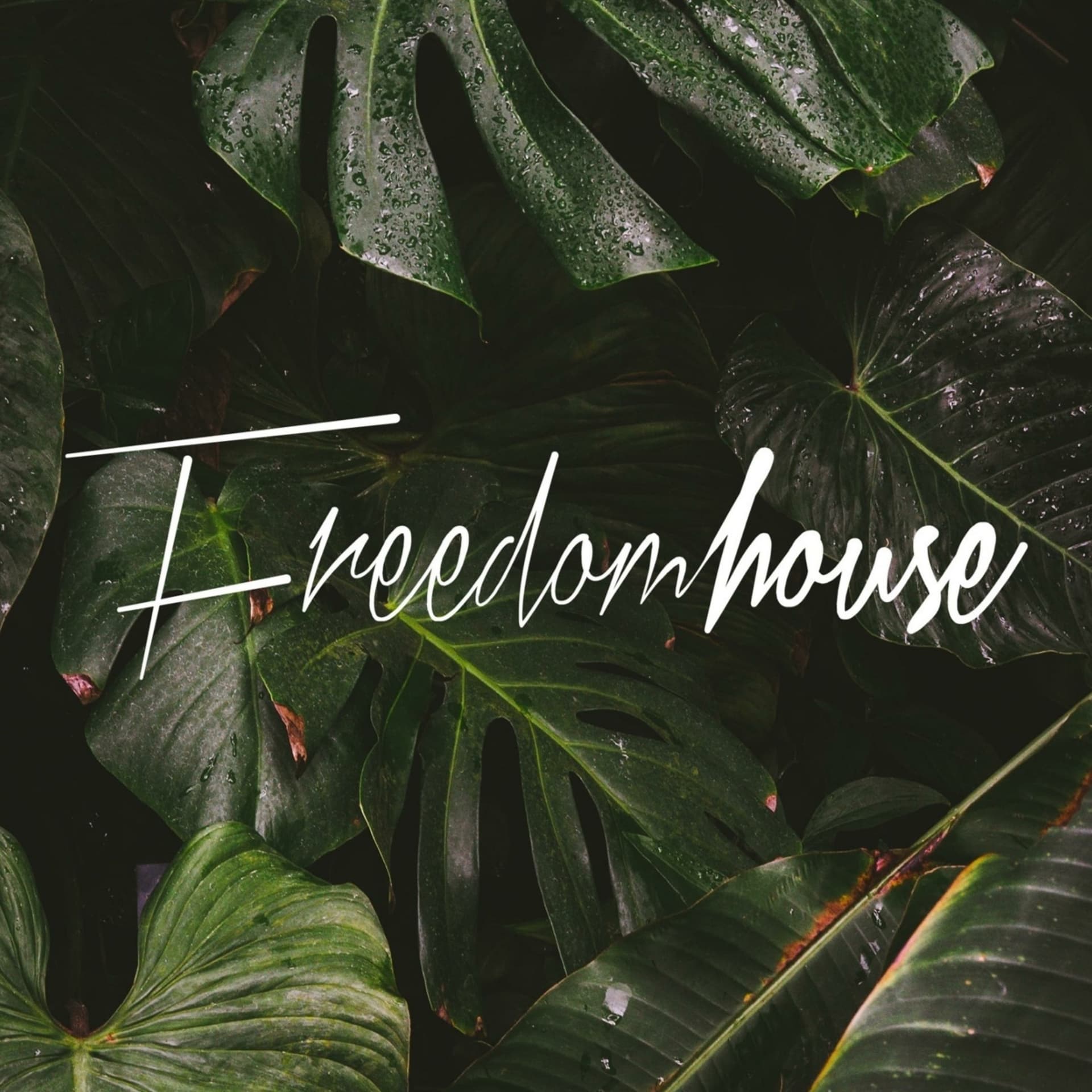 Freedomhouse Ballito - Podcasts