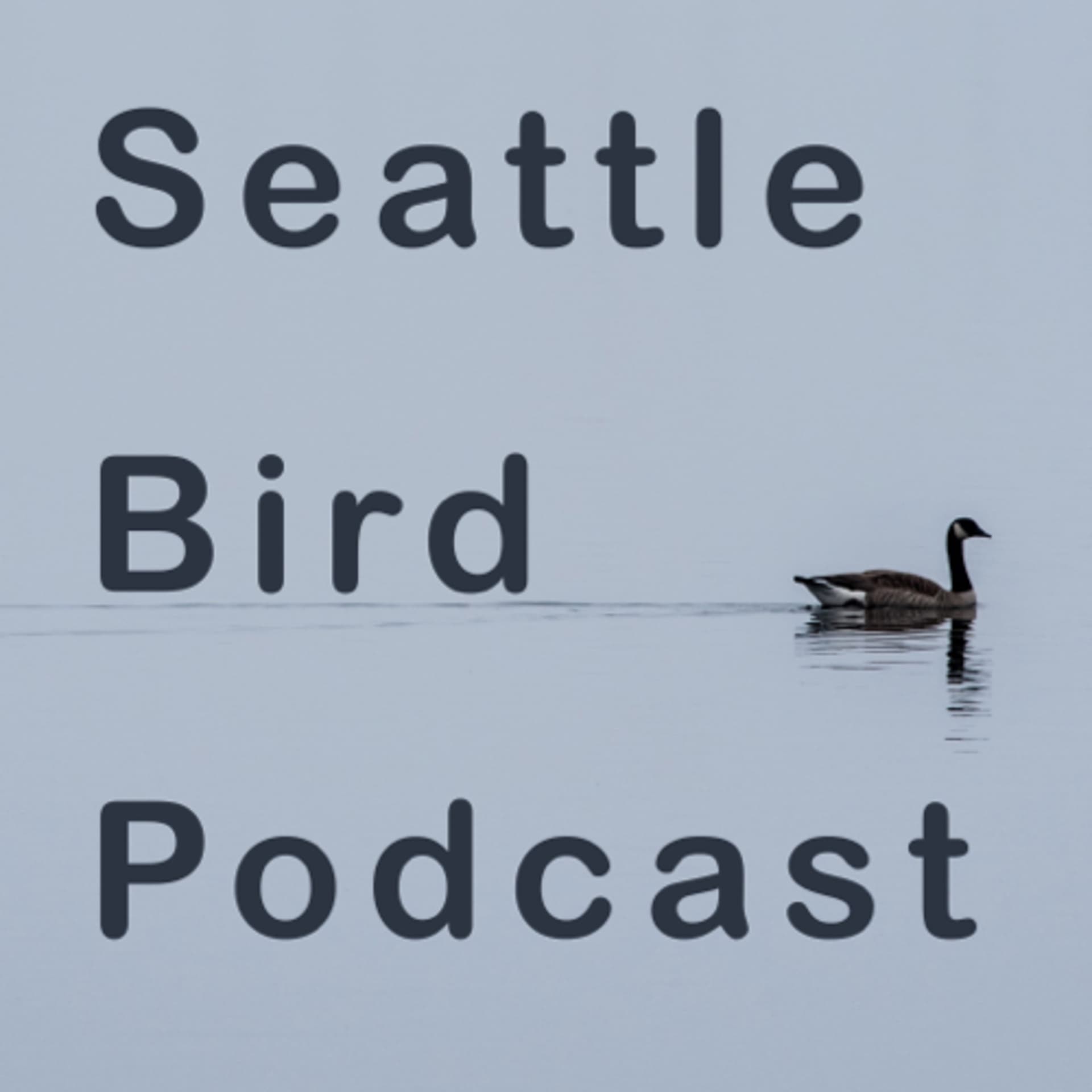 Seattle Bird Podcast - Podcasts