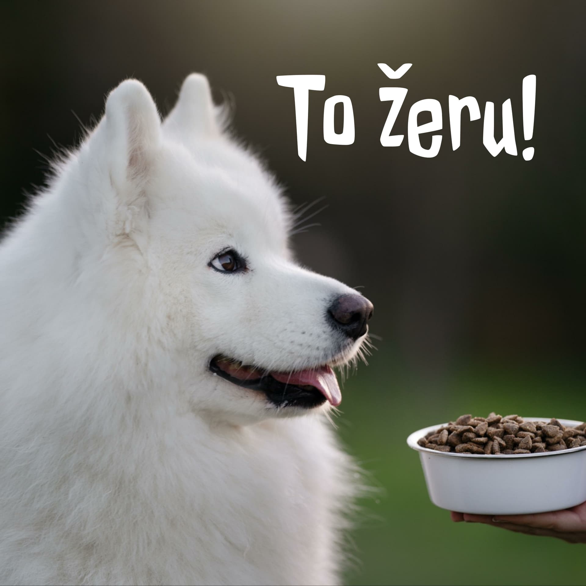 To žeru! - Podcasts