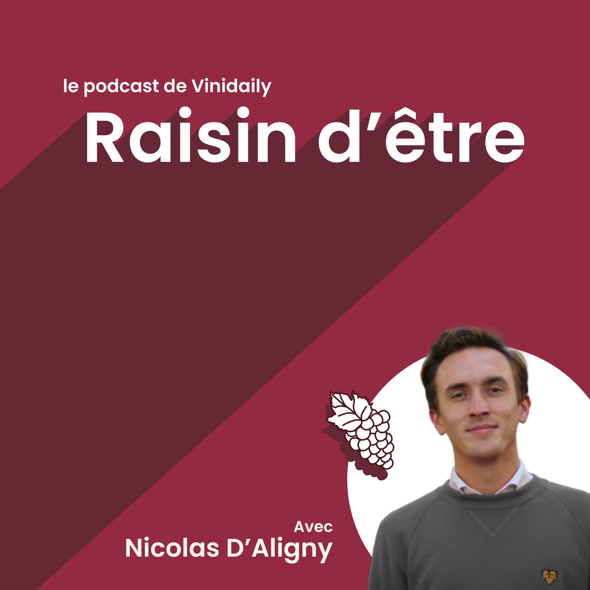 Raisin d'être, le podcast vin de Vinidaily - Podcasts