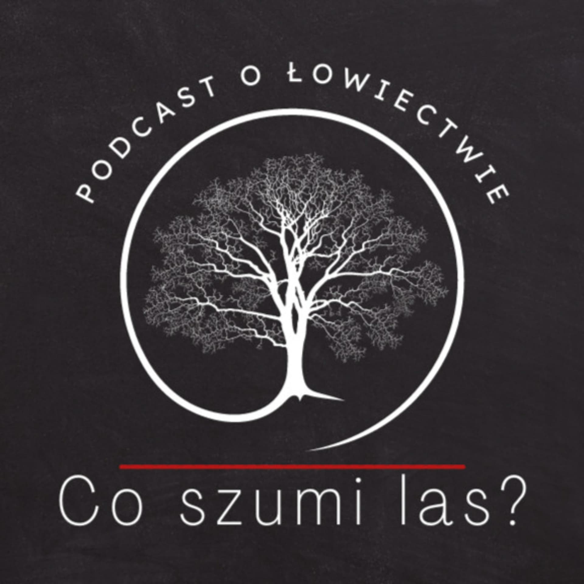 Co szumi las? - Podcasty