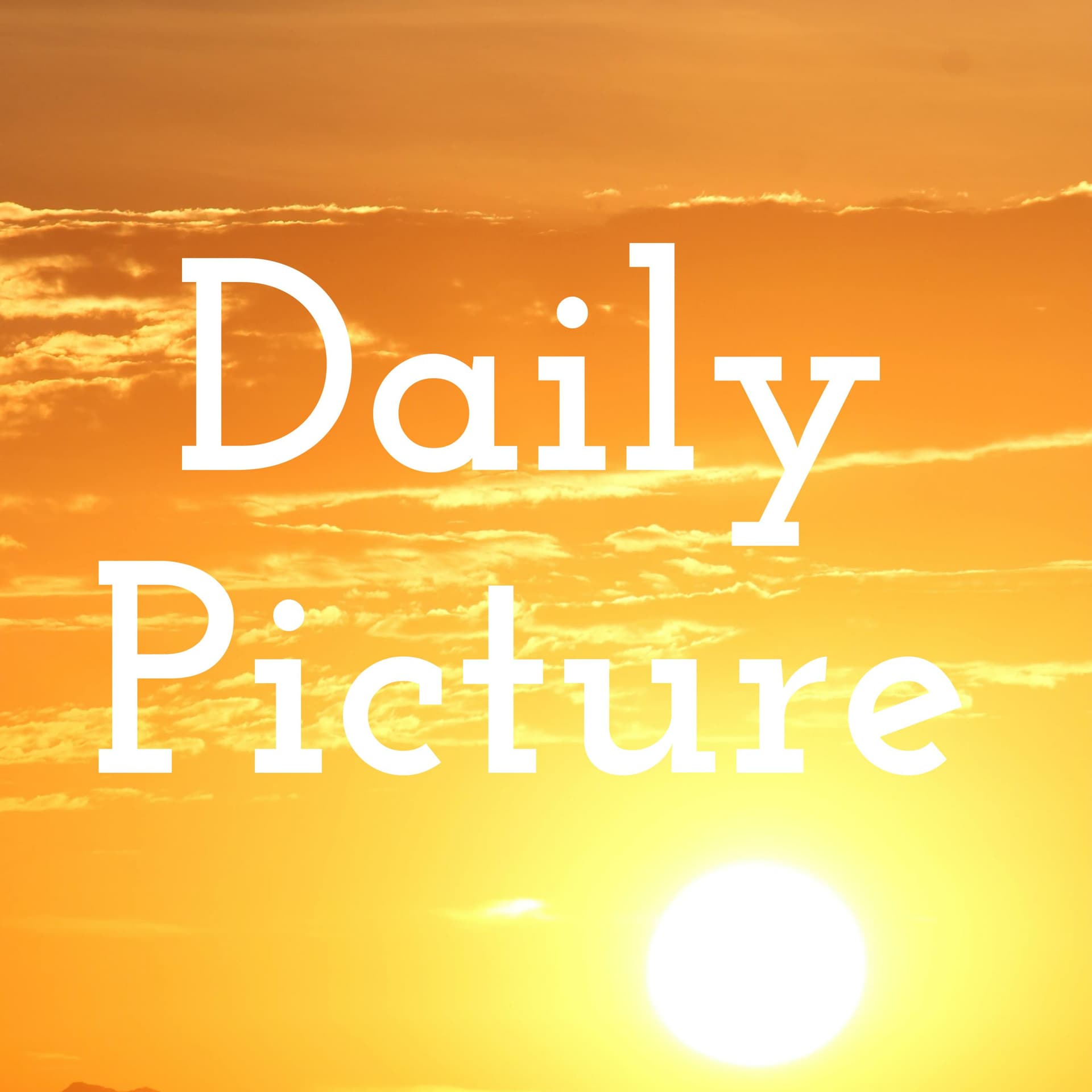 Daily Picture