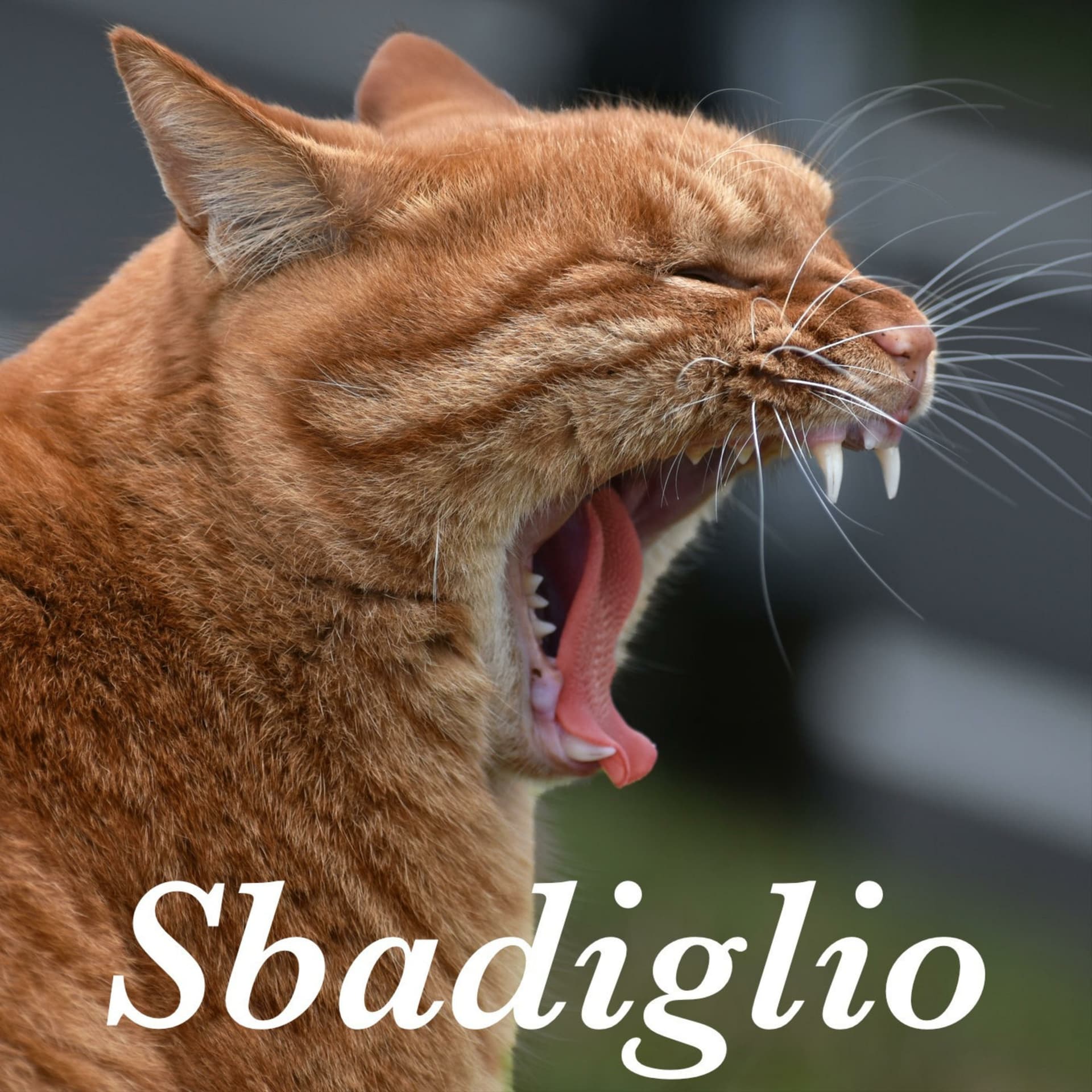 Sbadiglio - tecnologia e società - Podcast