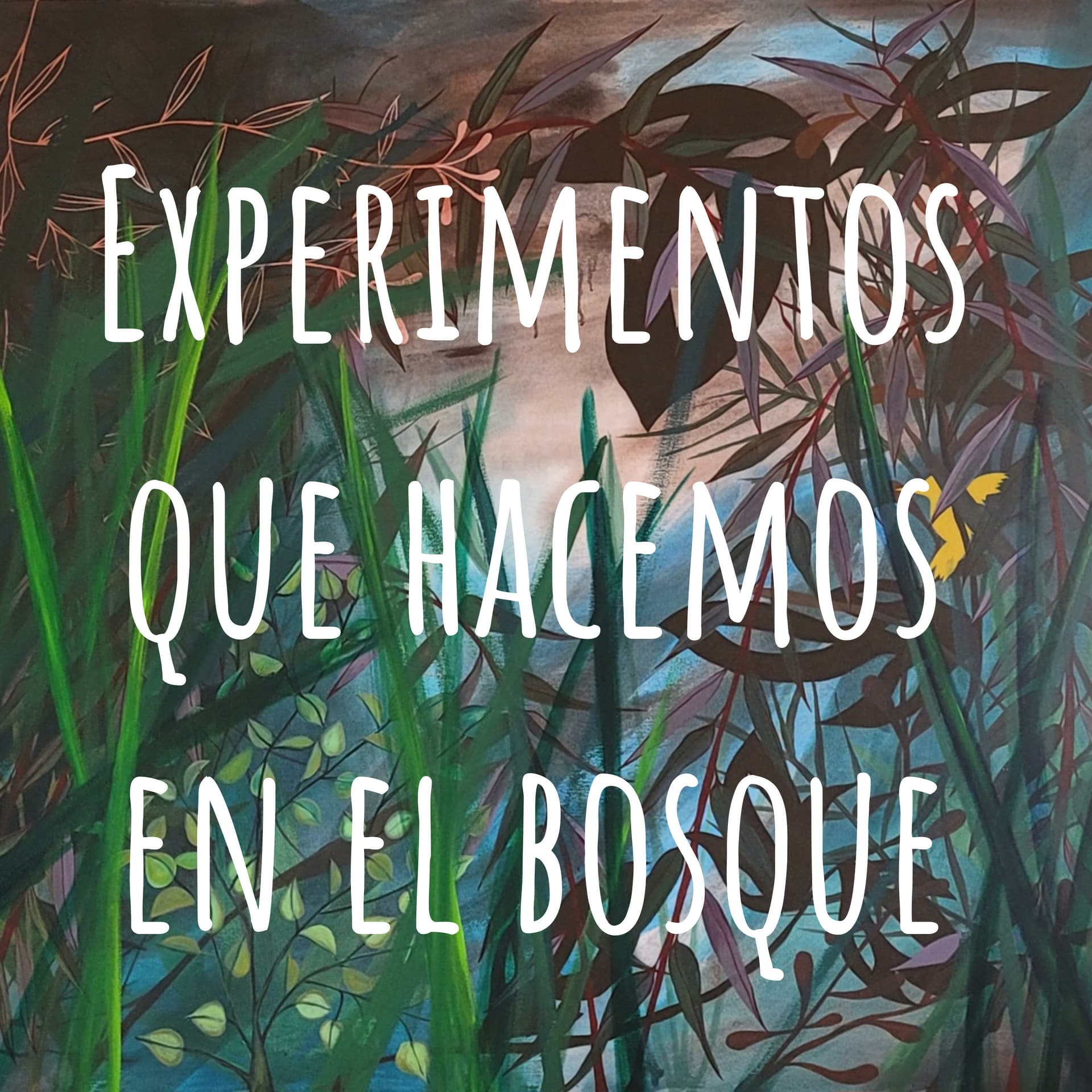 Experimentos que hacemos en el bosque