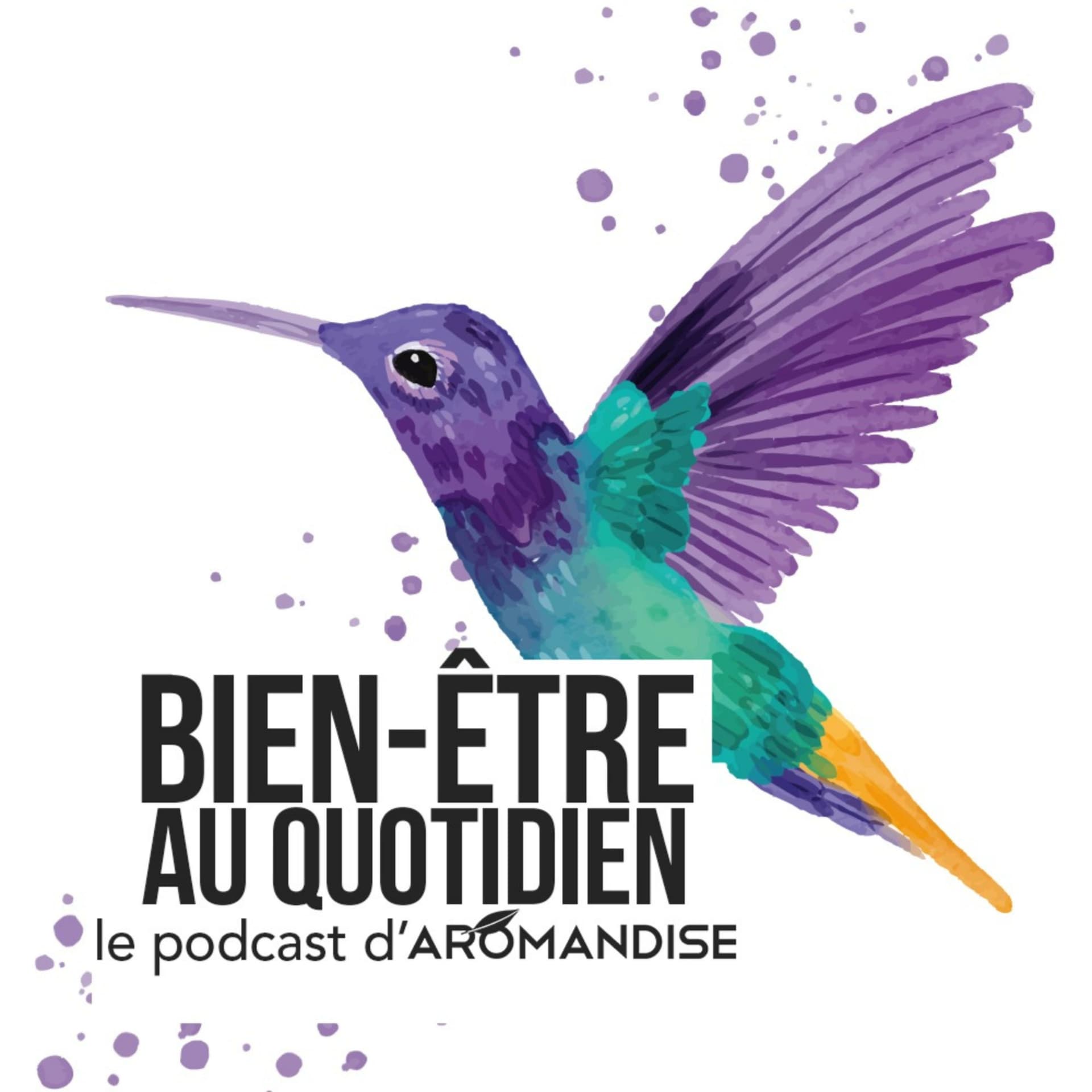 Bien-être au quotidien, le podcast d'Aromandise - Podcasts
