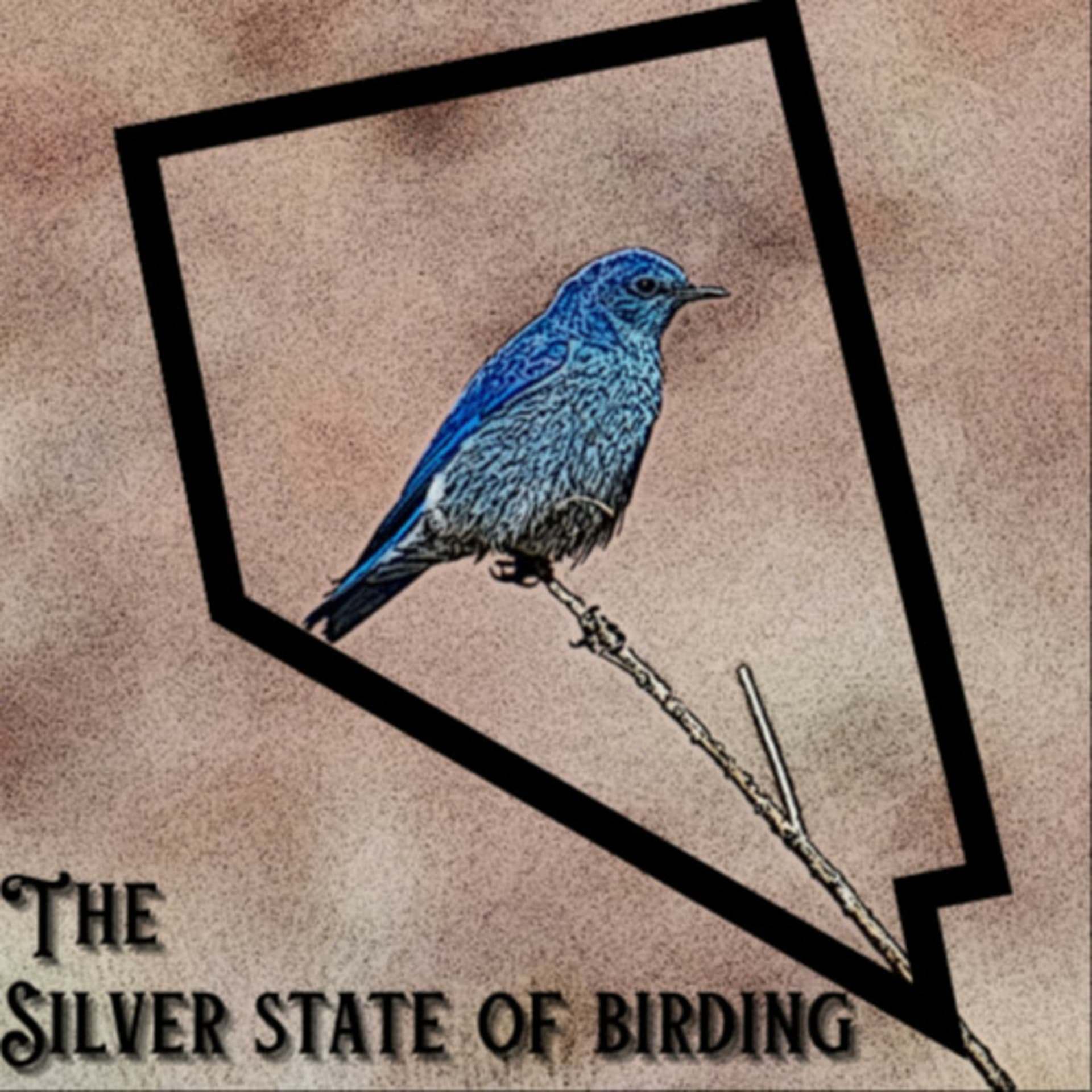 The Silver State of Birding - Podcasts