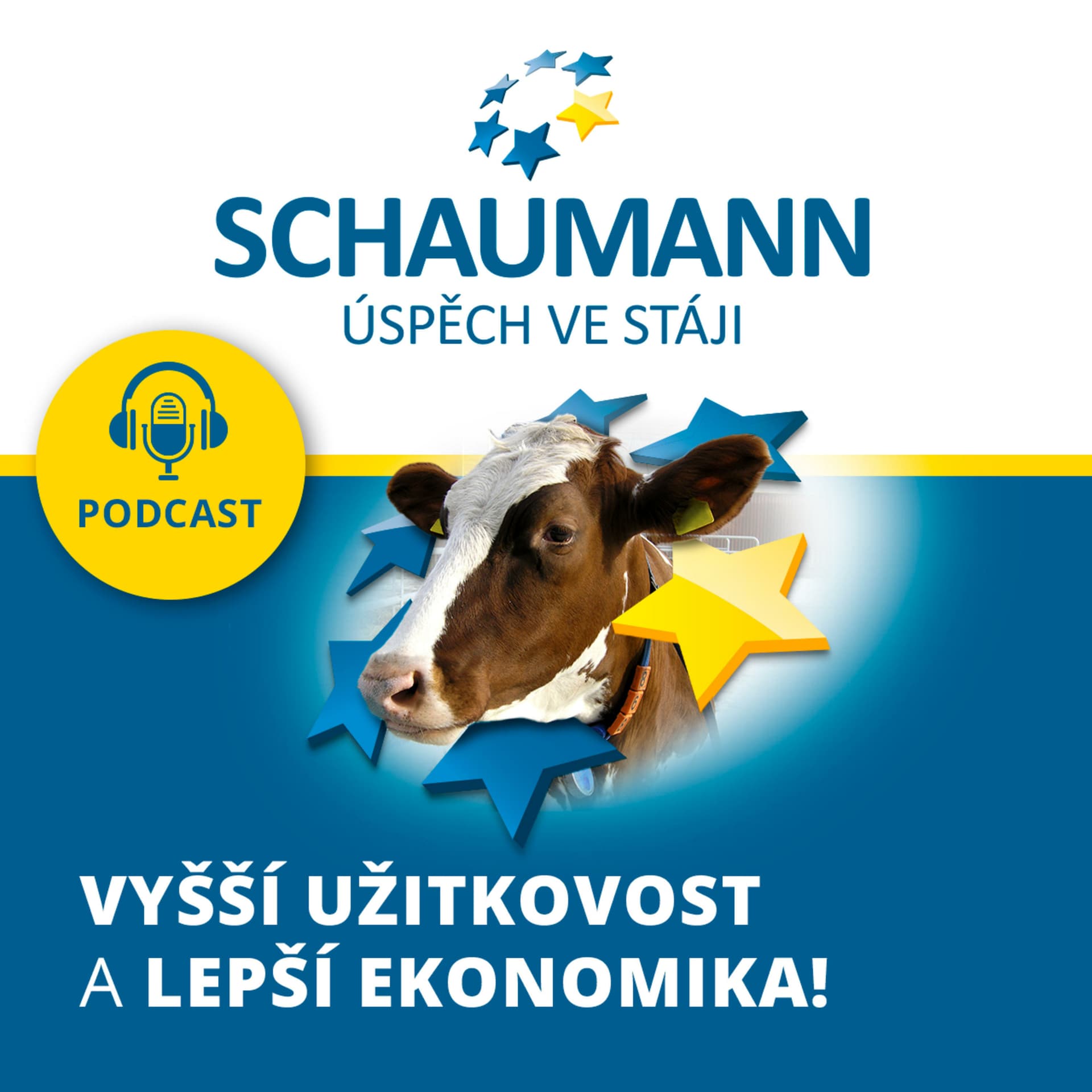 SCHAUMANN: ROZJEĎTE S NÁMI VYŠŠÍ UŽITKOVOST A LEPŠÍ EKONOMIKU! - Podcast
