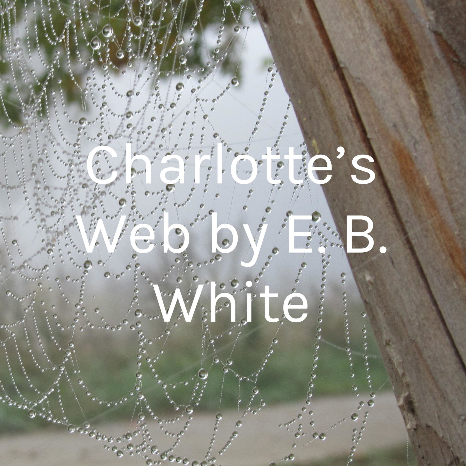 Charlotte’s Web by E. B. White - Podcasts